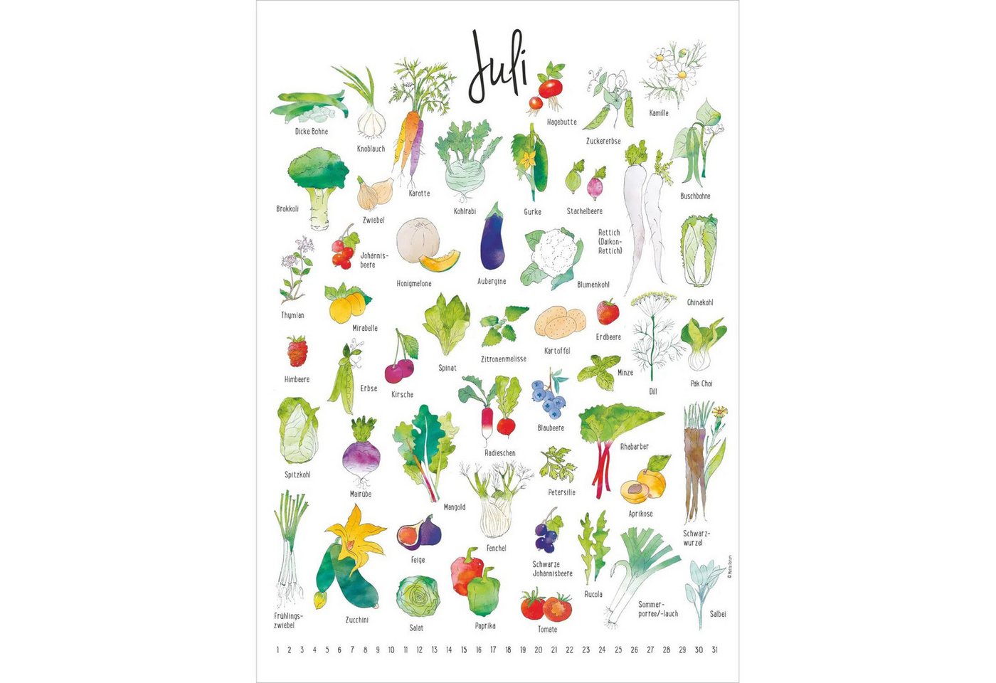 Wandkalender Der Saisonkalender Bild 2