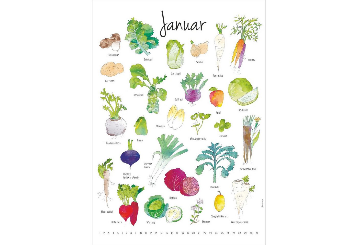 Wandkalender Der Saisonkalender Bild 3