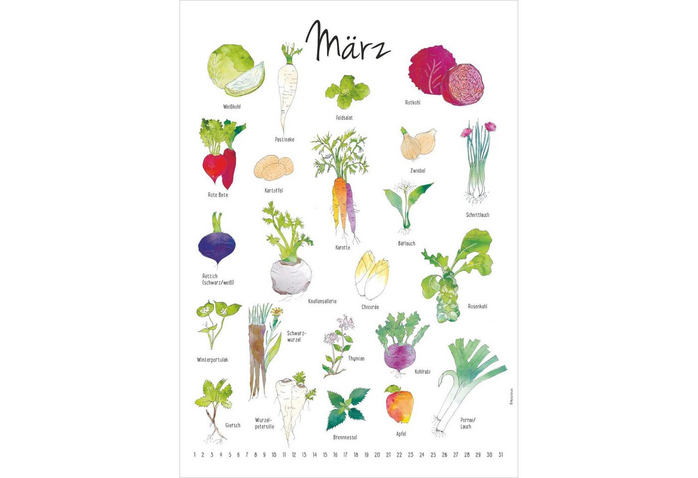 Wandkalender Der Saisonkalender Bild 4