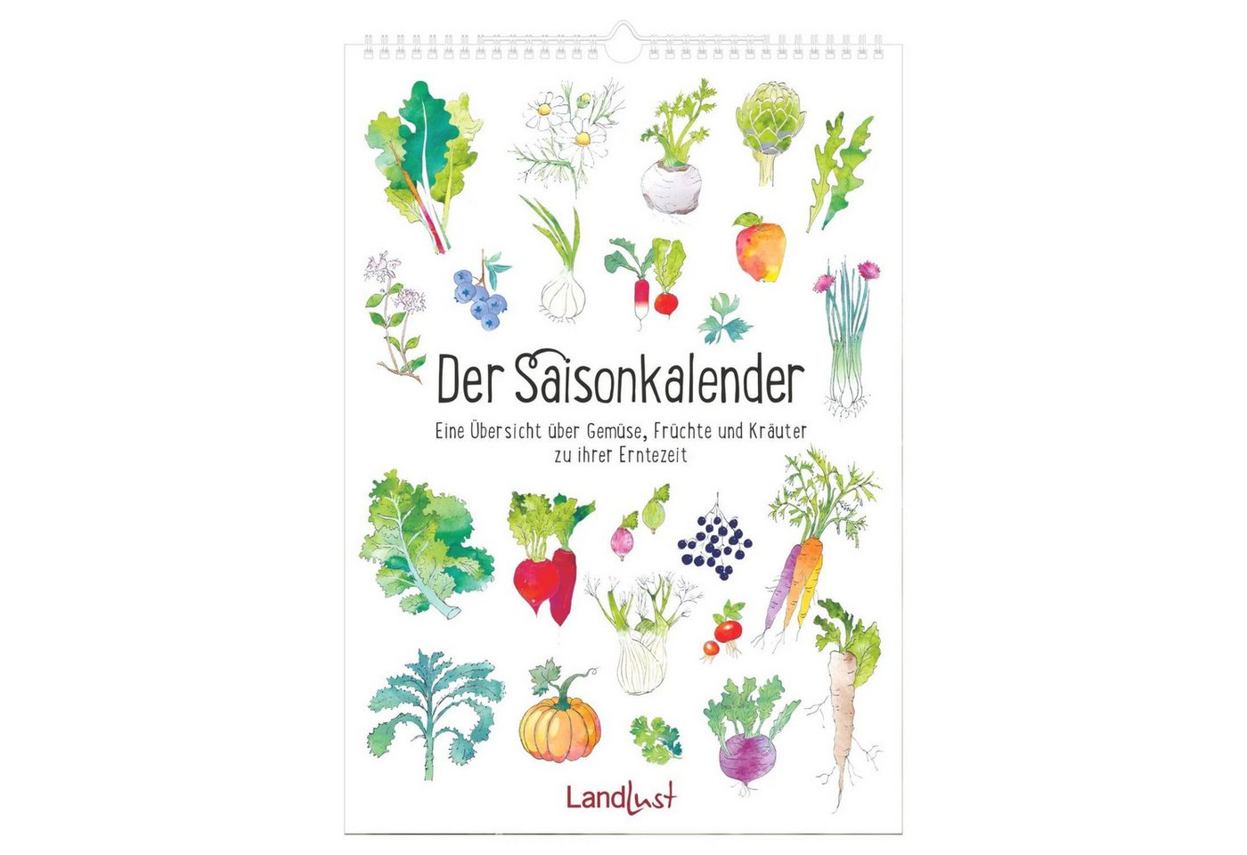 Wandkalender Der Saisonkalender Bild 5