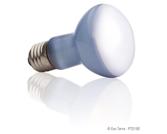 EXO TERRA SunGlo Daylight 25 w.