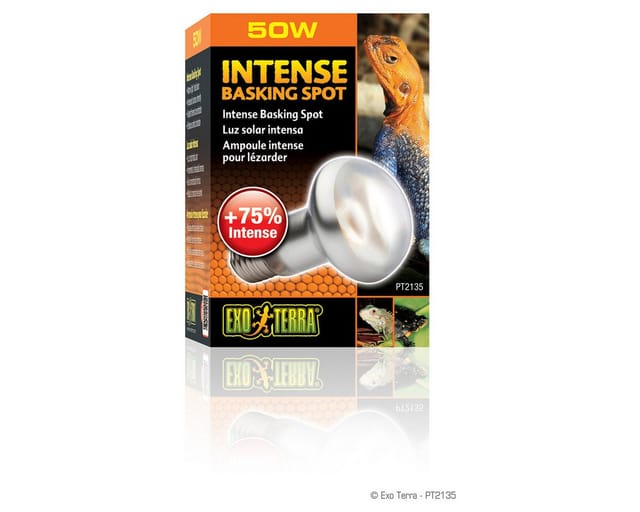 EXO TERRA Intense Basking Spot 50W
