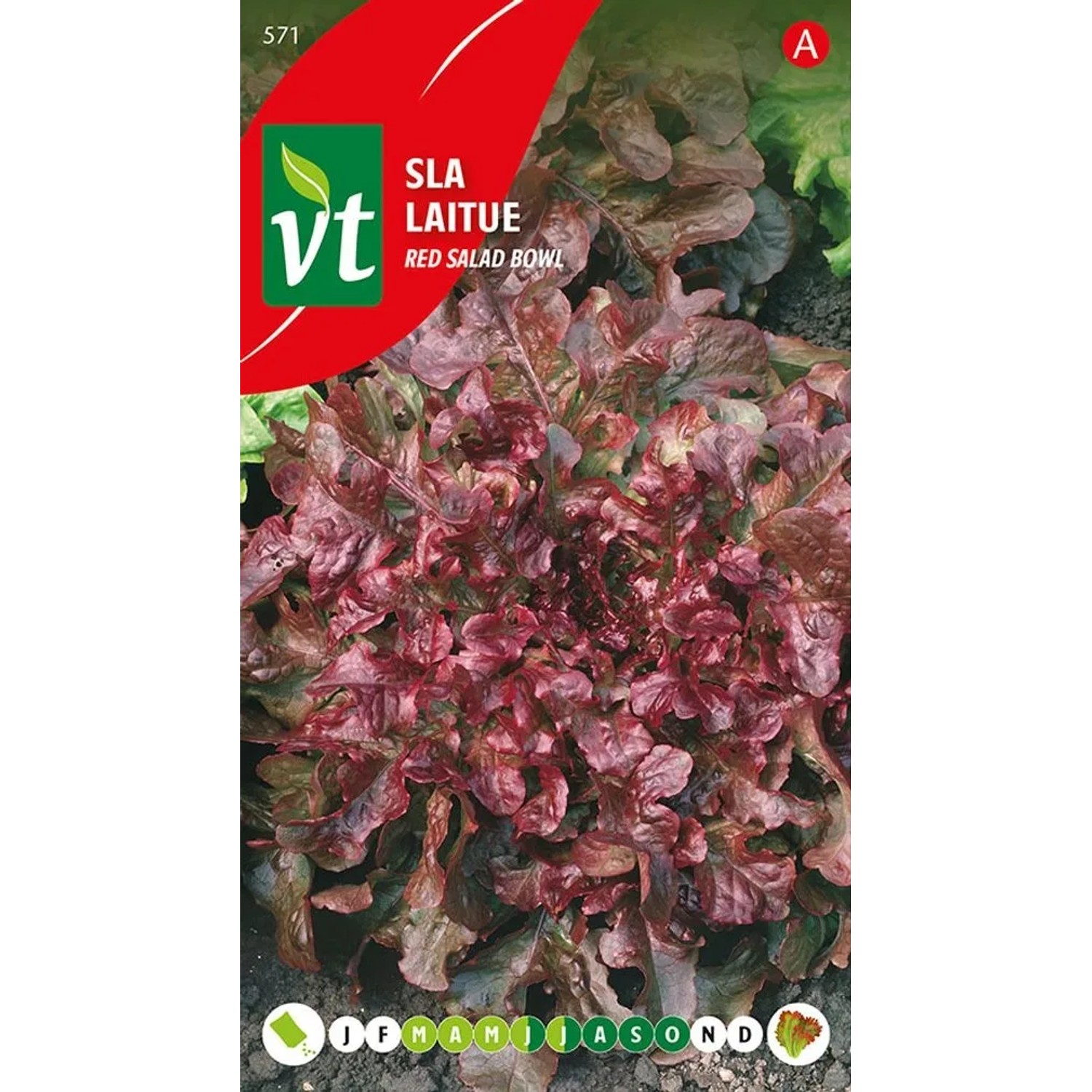 Pflücksalat 'Red Salad Bowl' Saatgut Circa 2 g Schnell Wachsend
