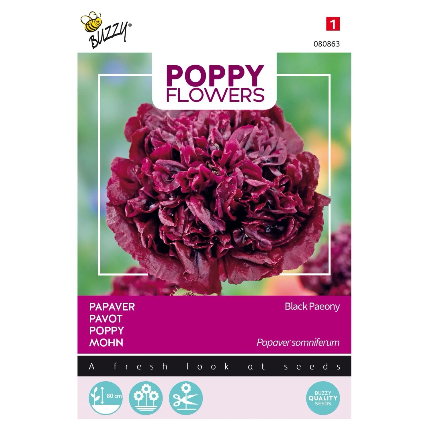 Mohn 'Black Peony' Buzzy Poppy Flowers Samen Circa 0,08 g Gefüllte Dunkelviolette Blüten