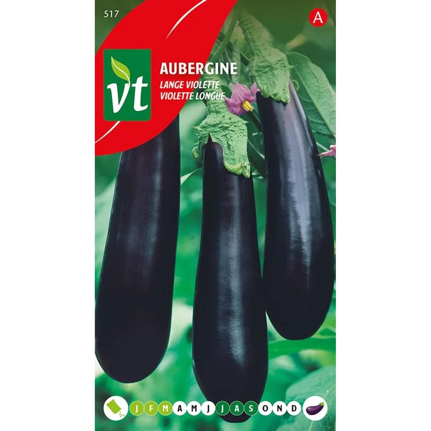 Aubergine 'Langes Veilchen' Samen Circa 1 g Längliche Violette Früchte