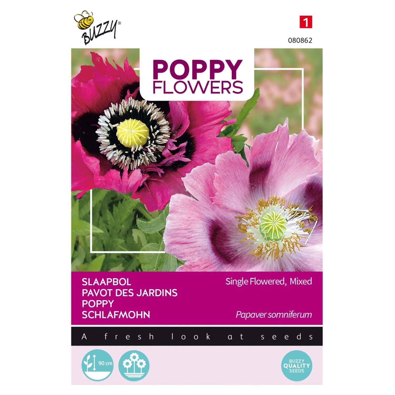 Mohn 'Somniferum Mischung' Buzzy Poppy Flowers Samen Circa 1 g Ziermohn
