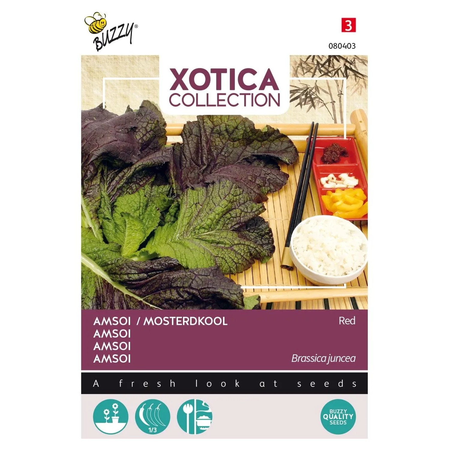 Amsoi rot Indischer Senf Buzzy Xotica Samen Circa 3 g Aussaat Unter Glas