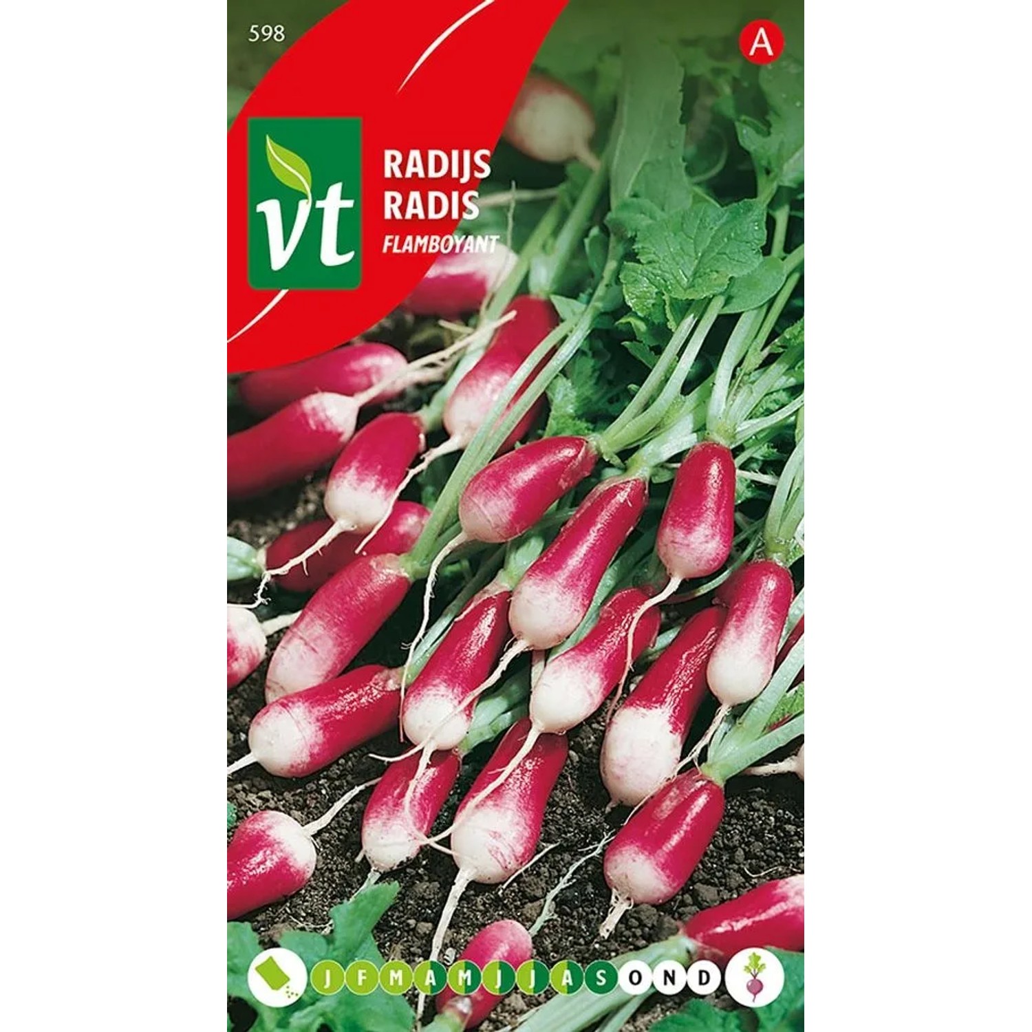 Radieschen 'Flamboyant' Saatgut Circa 10 g Schnell Wachsend