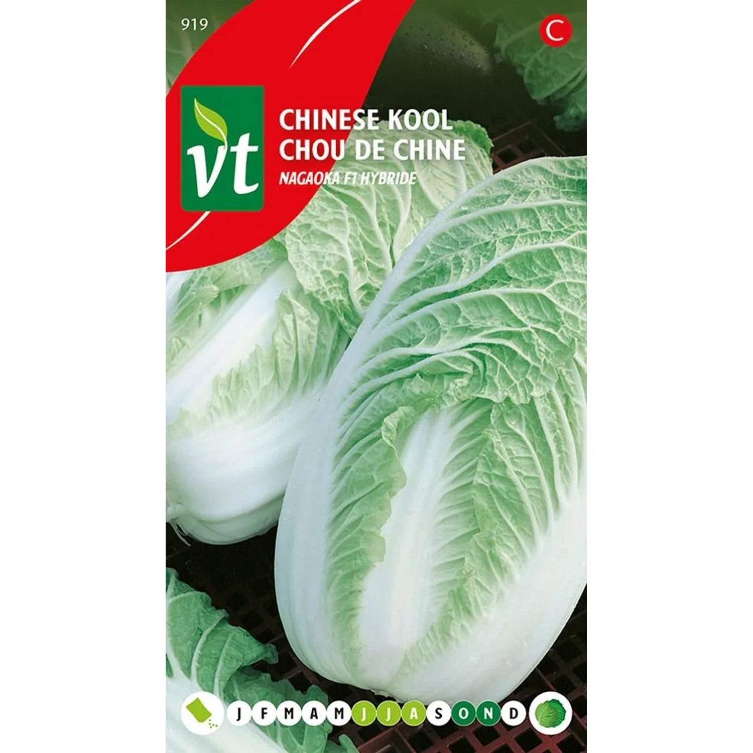 Chinakohl 'Nagaoka F1' Saatgut Circa 0,5 g Schnell Wachsend