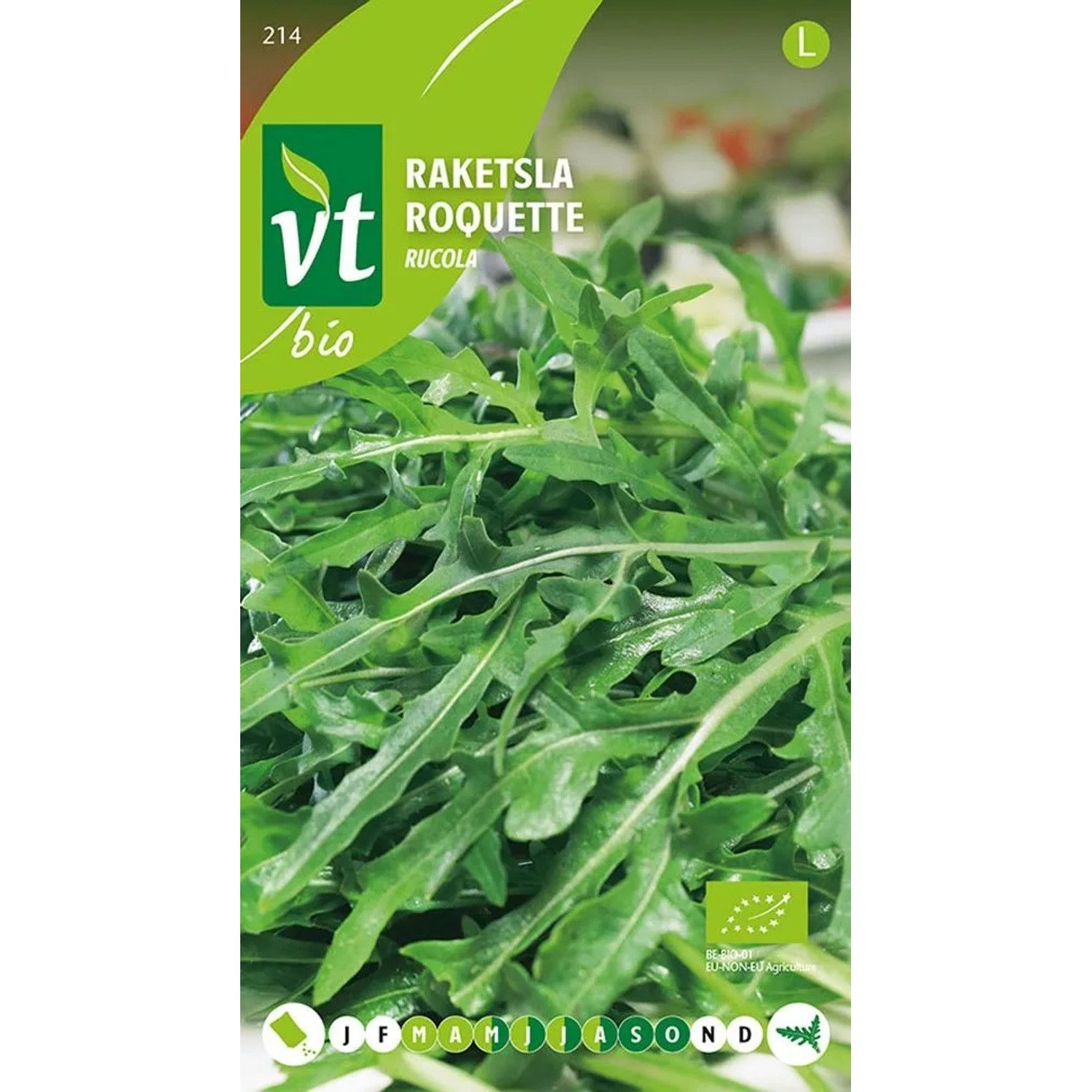 Kopfsalat Rucola Bio Samen Circa 2 grSchnell Wachsendes Blattgemüse