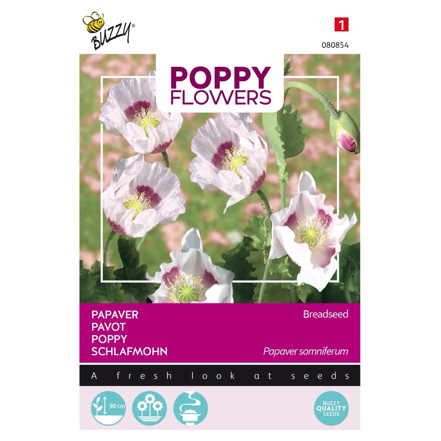 Schlafmohn Blaumohn Buzzy Poppy Flowers Samen Circa 1 g Für Backzwecke Geeignet