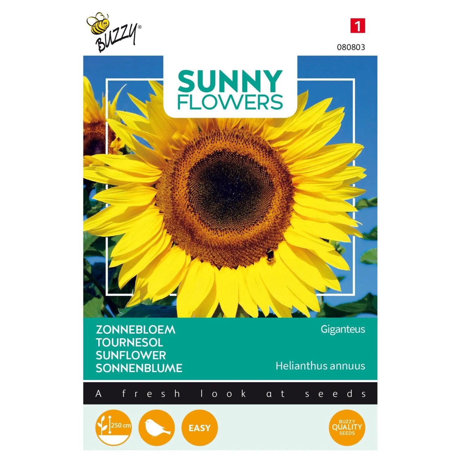 Riesen-Sonnenblume 'Giganteus' Buzzy Sunny Flowers Samen Circa 5 g Sehr Große Blüten
