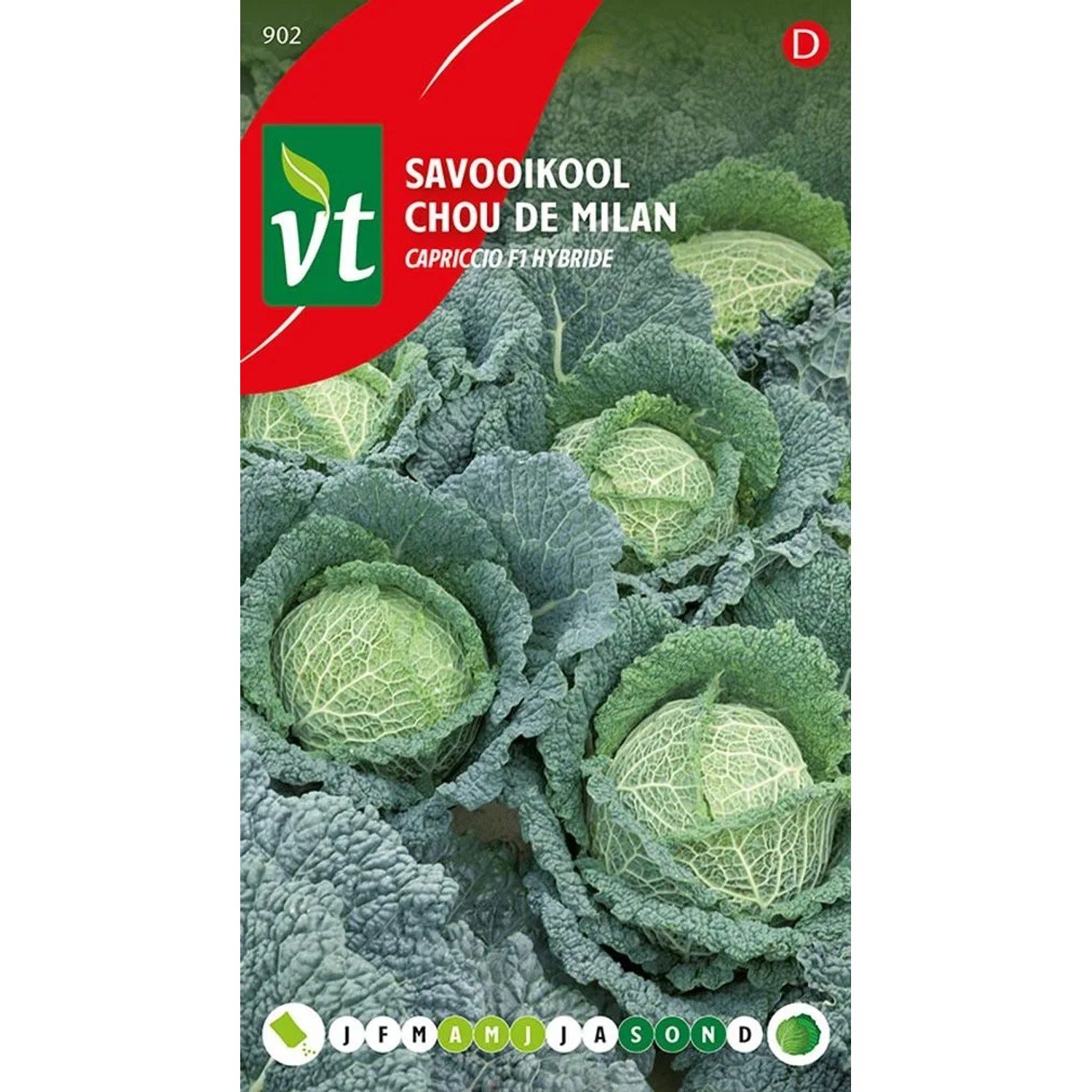 Wirsing Capriccio F1-Hybride Samen Circa 0,3 grHybridrasse mit Hoher Ausbeute