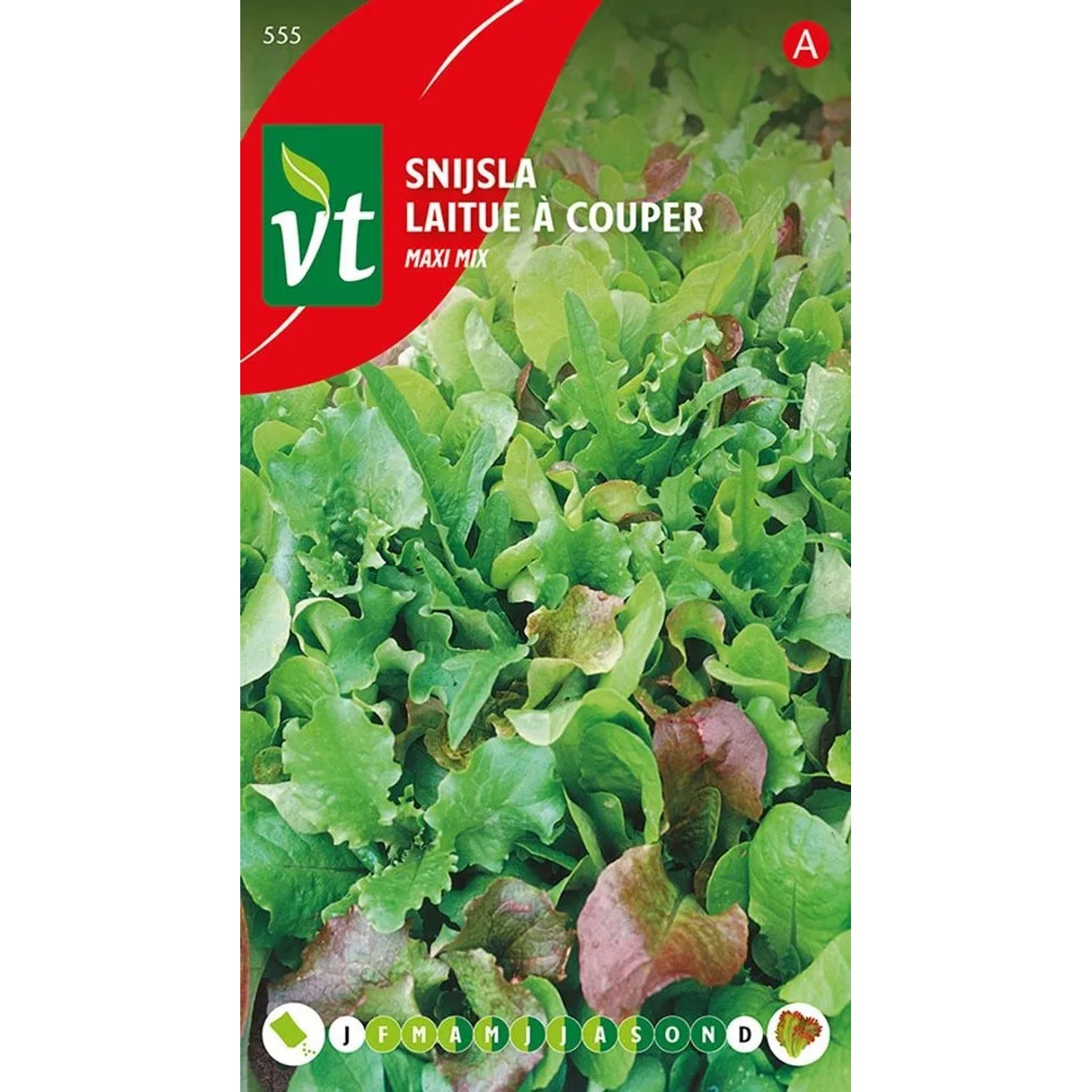 Kopfsalat Schnitt Salat Maxi Mix Samen Circa 4 grWunderschöne Mischung aus Verschiedenen Salatsor
