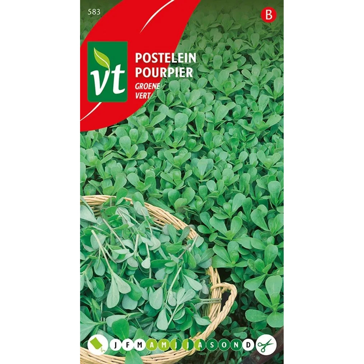 Portulak Grün Samen Circa 1,5 grLecker und Knusprige Blätter
