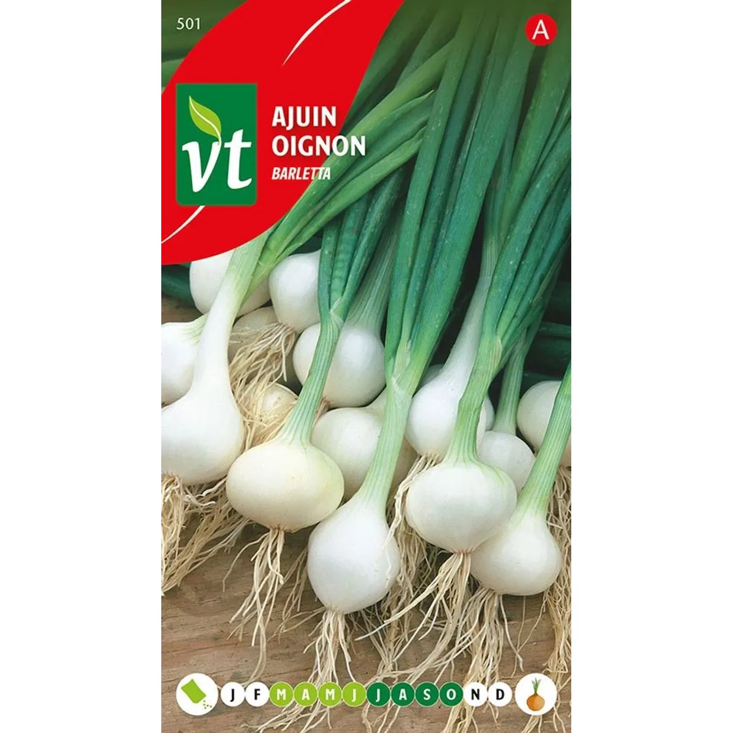 Zwiebel Barletta Samen Circa 4 grKann in den Meisten Bodenarten Wachsen