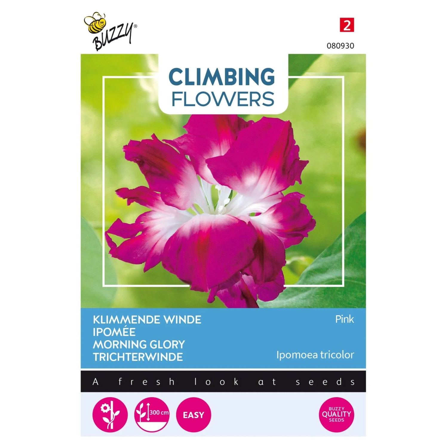 Prunkwinde 'Double Pink' Buzzy Climbing Flowers Samen Circa 2 g Viele rosa Blüten