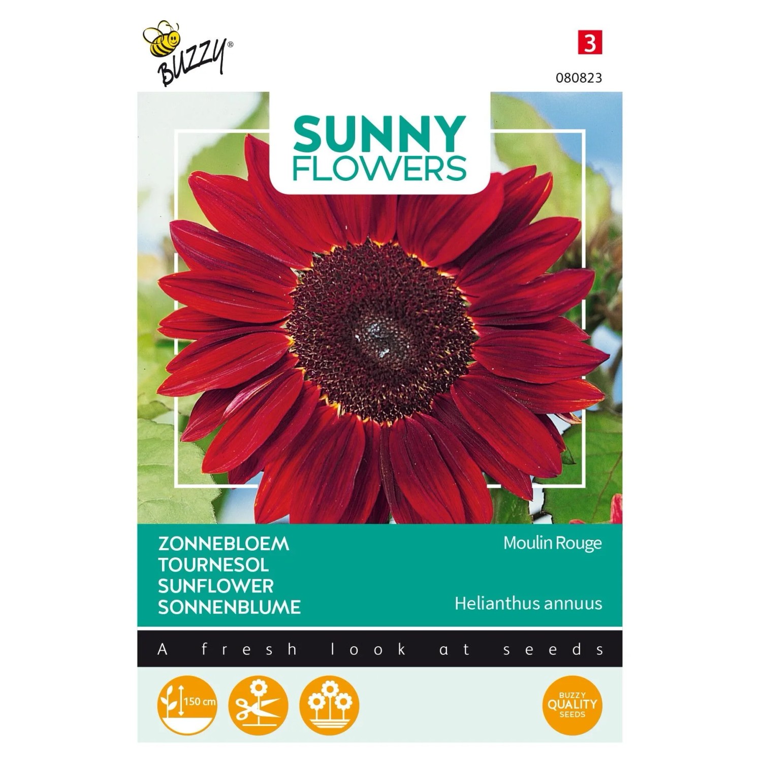 Sonnenblume 'Moulin Rouge' Buzzy Sunny Flowers Samen Circa 1 g Für Beet und Hecke