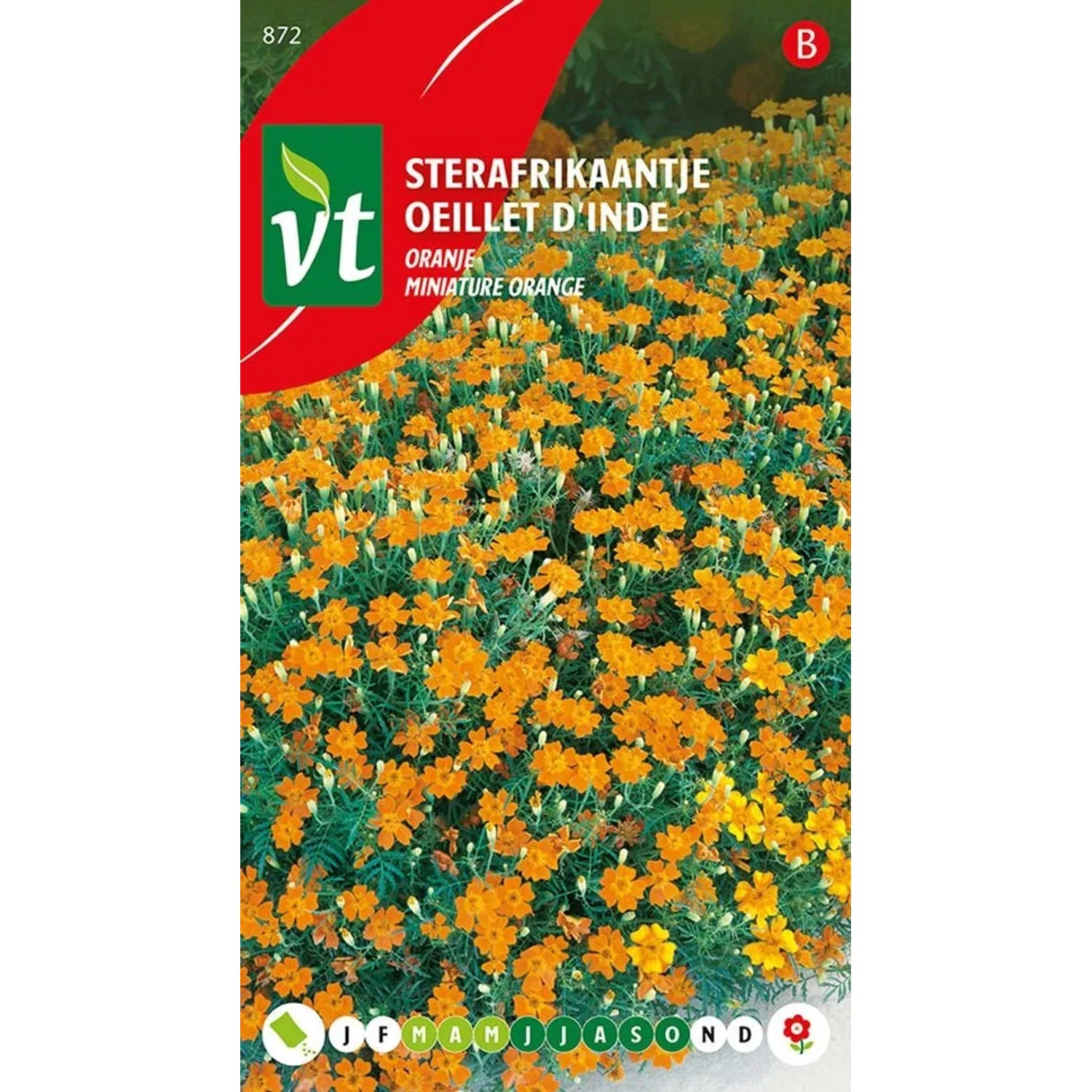 Studentenblume Orange Samen Circa 0,5 g Orange Blüten