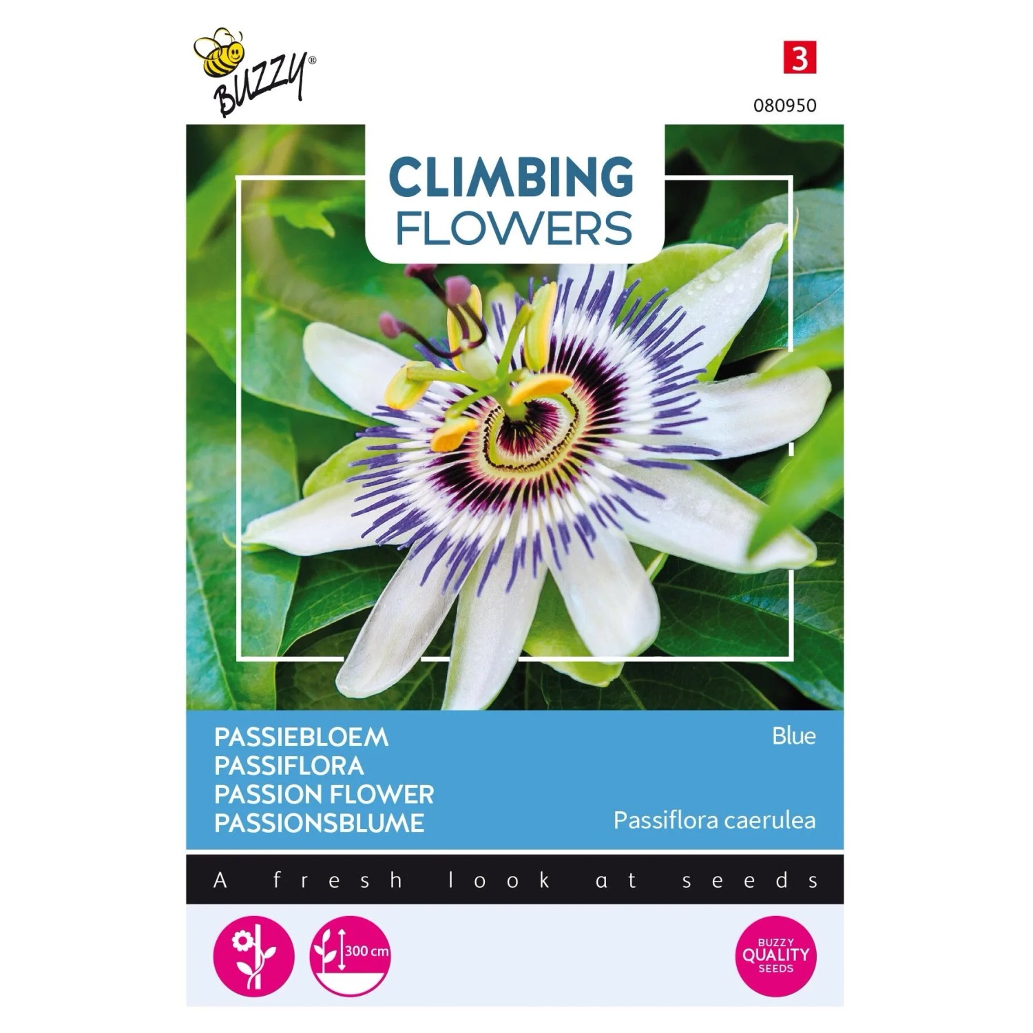 Passionsblume Blau Buzzy Climbing Flowers Samen Circa 0,5 g Kräftige Kletterpflanze
