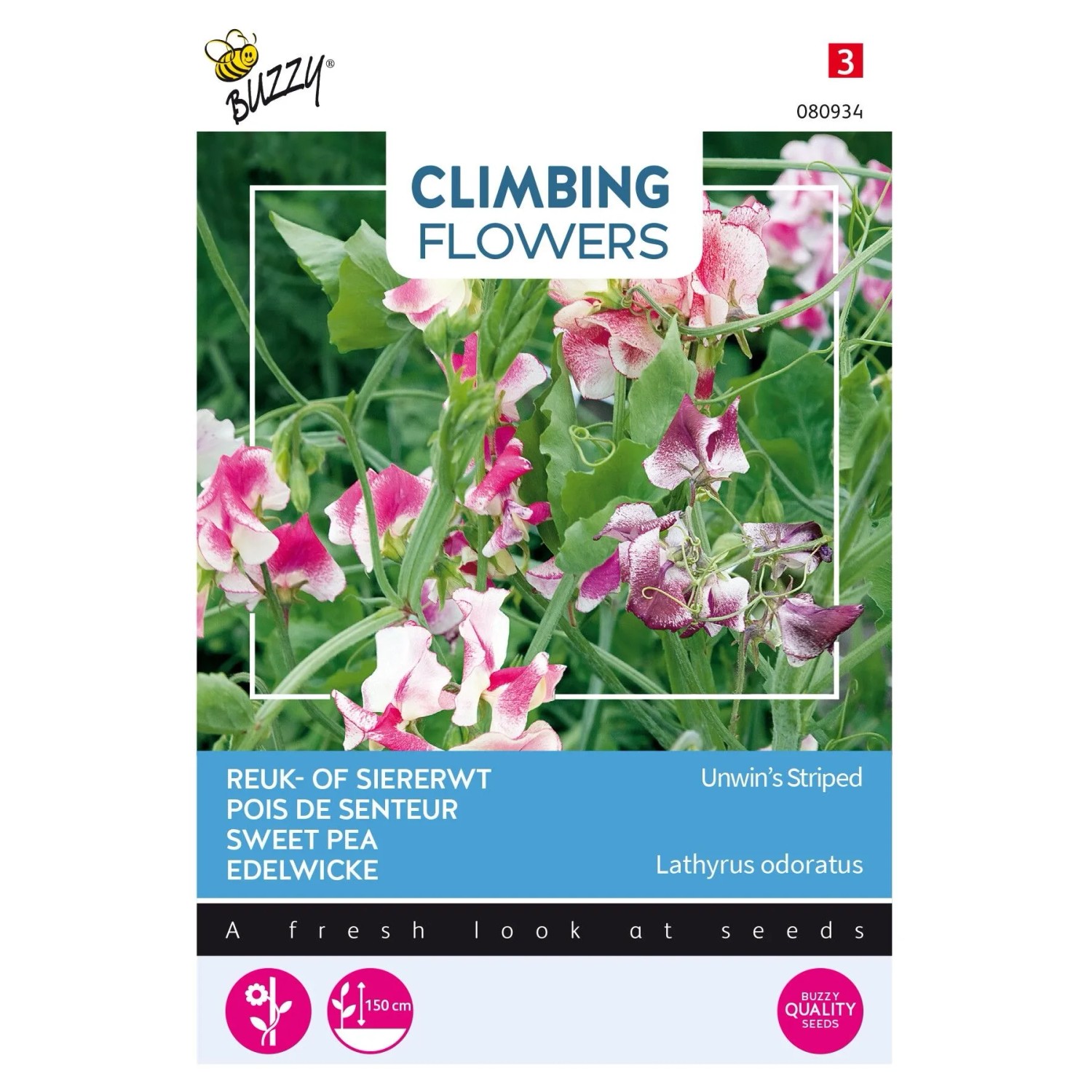Duftwicke 'Unwin's Striped' Buzzy Climbing Flowers Samen Circa 4 g Rot-rosa Gestreifte Blüten