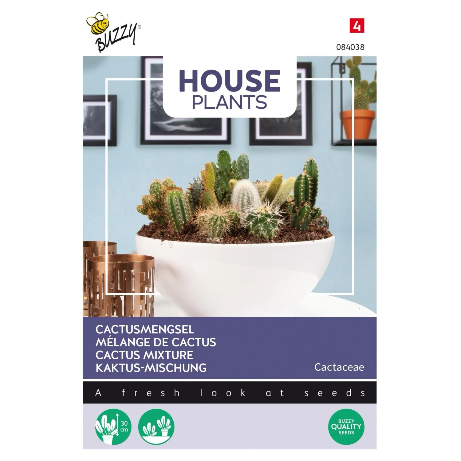 Kakteen-Mischung Buzzy House Plants Circa 0,2 g Für Ganzjährige Zimmerkultur