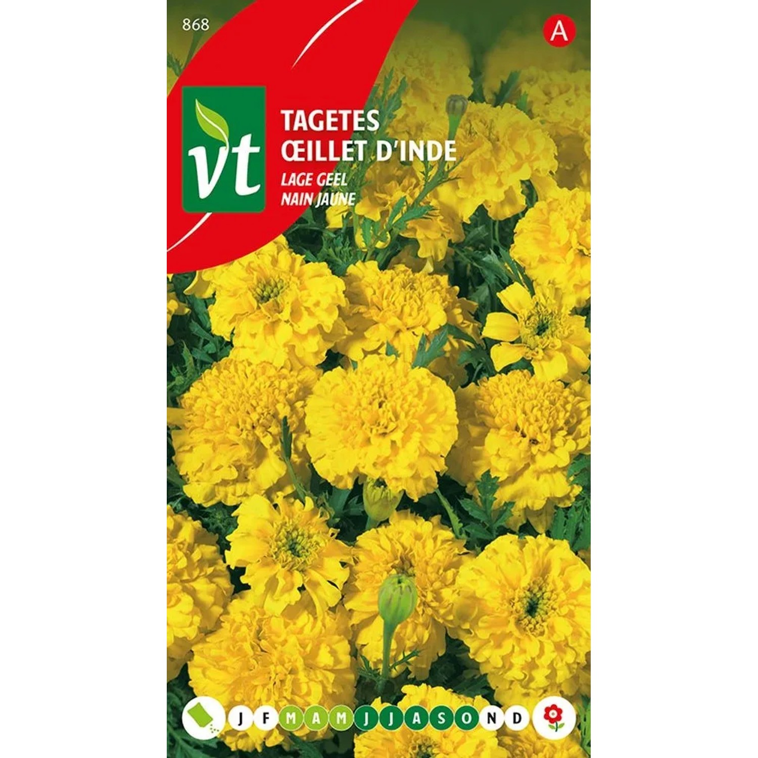 Studentenblume Gelb Samen Circa 1 g Gelbe Blüten