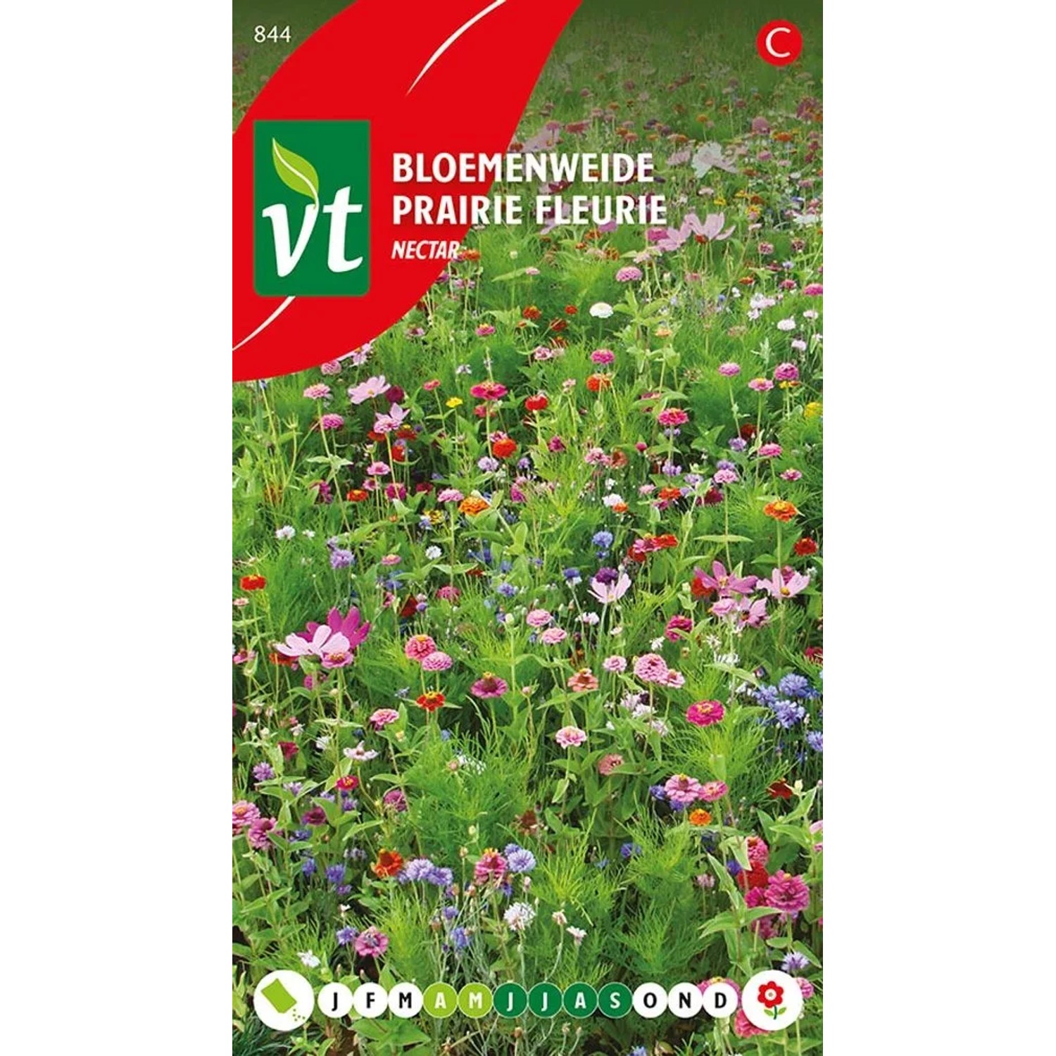Blumenmischung 'Nektar' Saatgut Circa 15 Samen