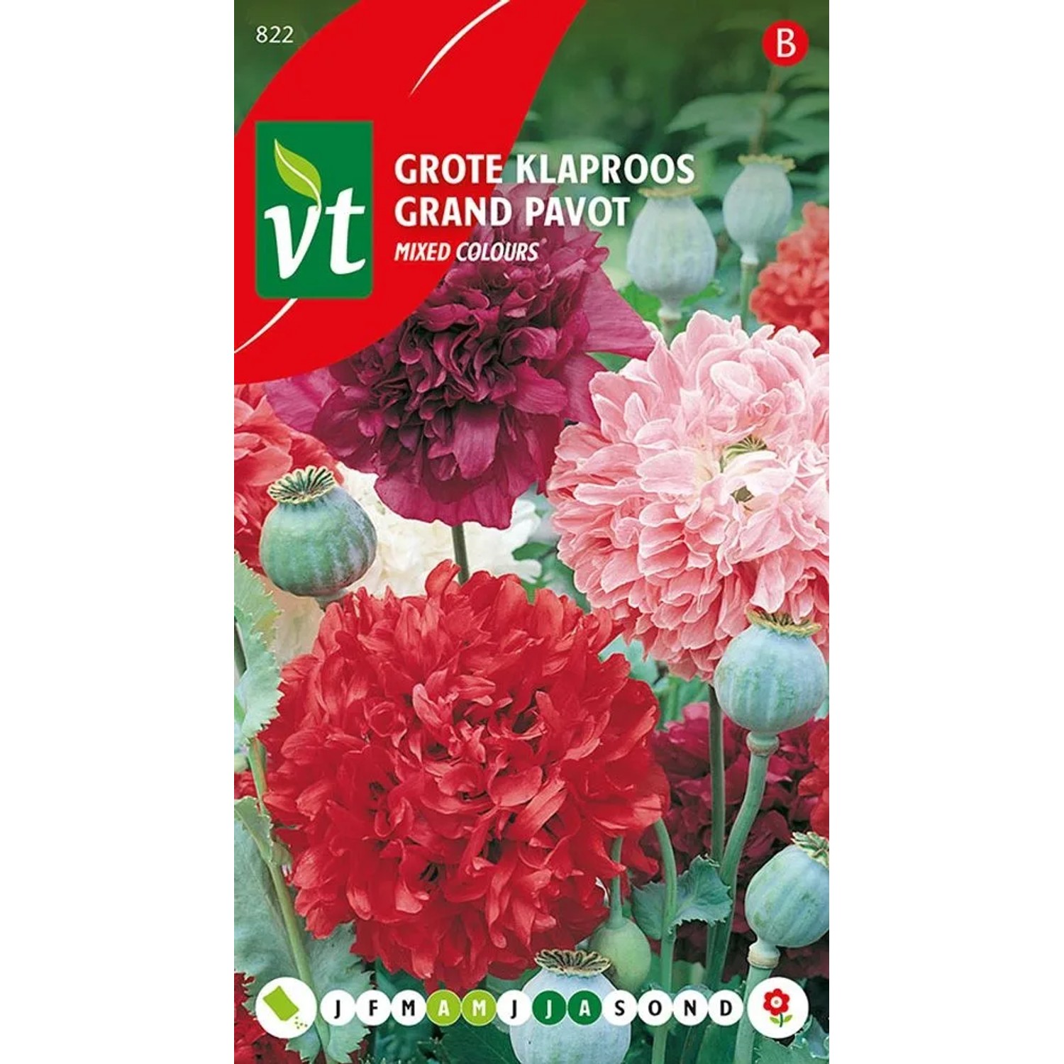 Schlafmohn Samen Circa 0,75 g Leuchtend Rote Blüten