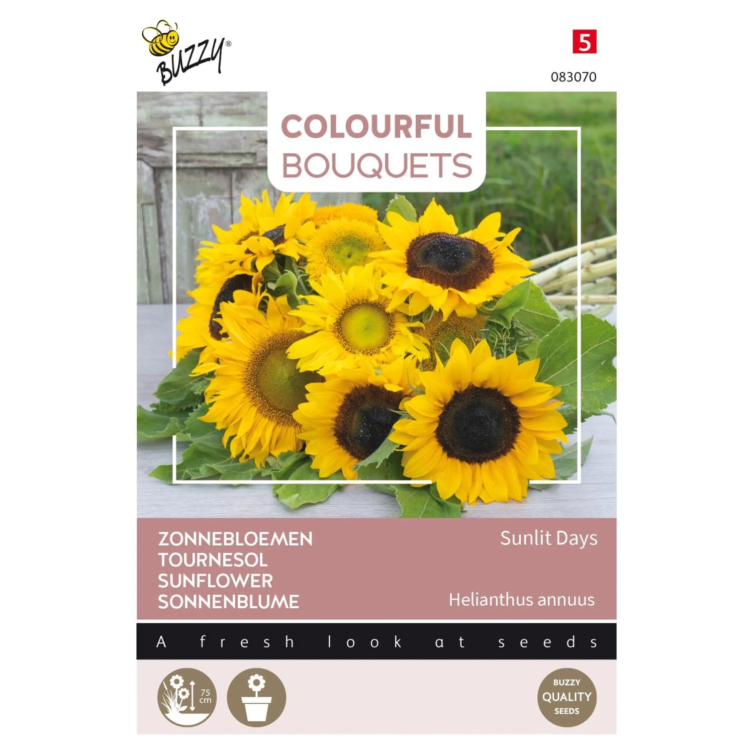 Sonnenblumenmischung 'Sunlit Days' Buzzy Colourful Bouquets Samen Circa 1 g Für Sonnige Sträuße