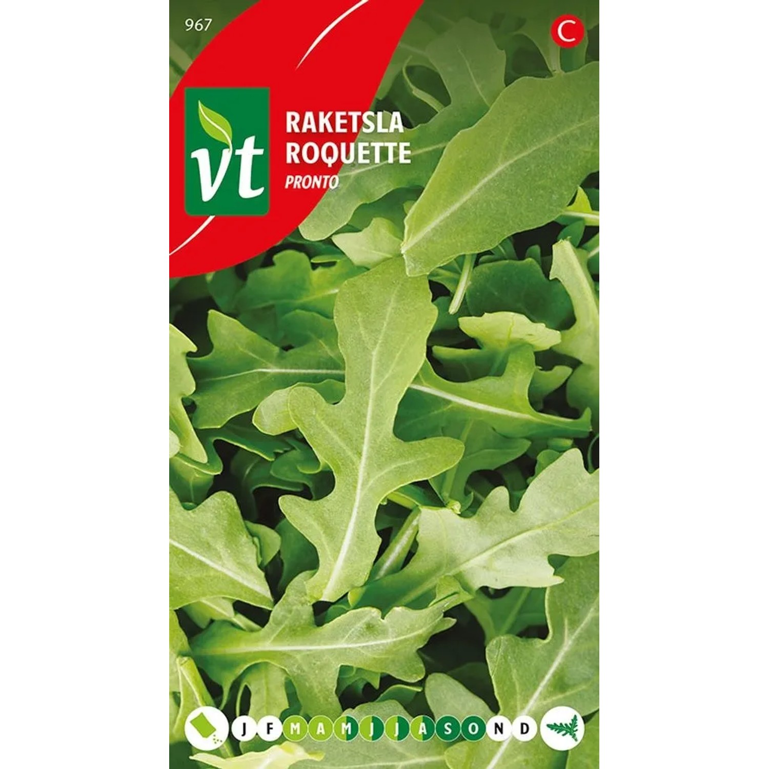 Rucola Pronto Samen Circa 2 grSchnell Wachsend