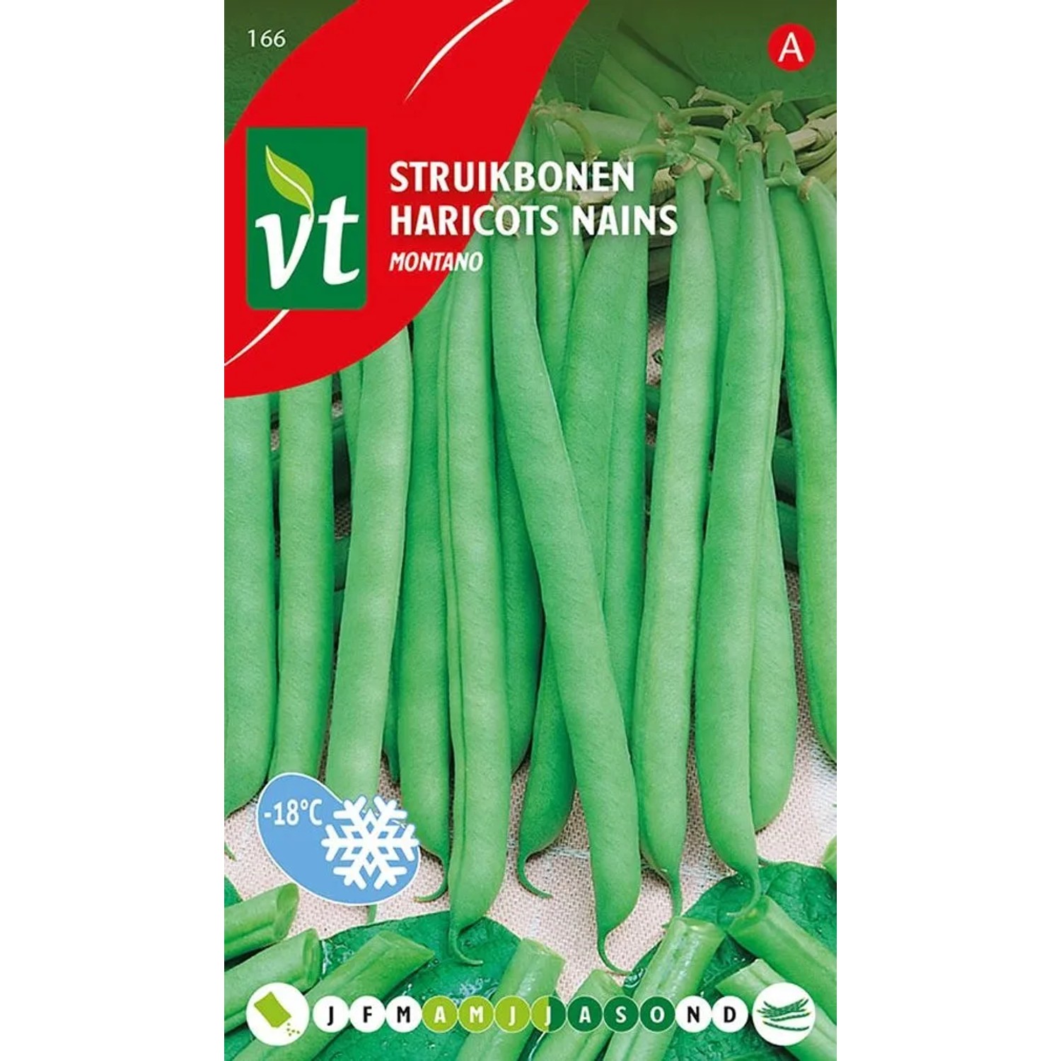 Buschbohne 'Montano' Samen Circa 50 g Sehr Hoher Ertrag