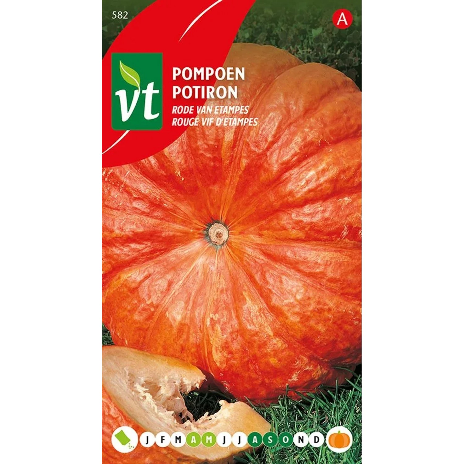 Kürbis Rot aus Etampes Samen Circa 2 grGroße Rote Kürbisse