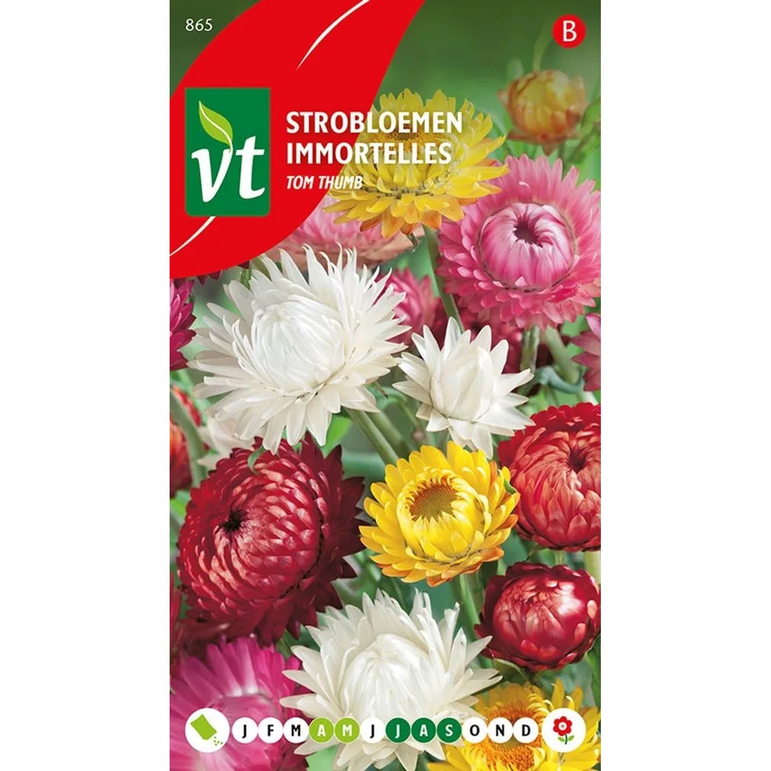 Erdbeerspinat 'Tom Thumb' Samen Circa 0,75 g Dekorativ und Essbar