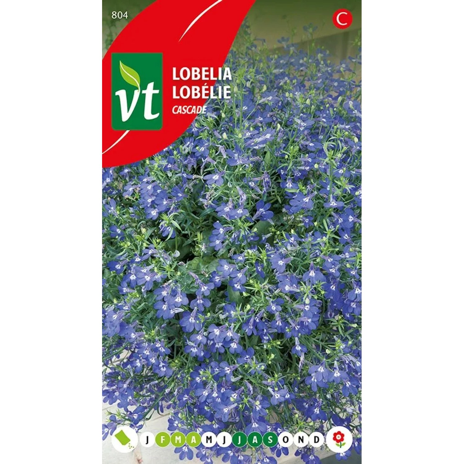 Lobelie Kaskade Samen Circa 0,4 g Hängende Blaue Blüten