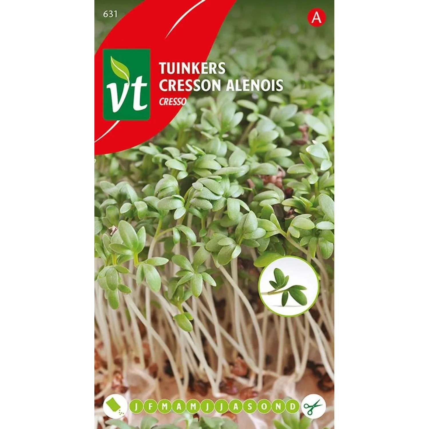 Gartenkresse 'Cresso' Samen Circa 15 g Schnell Wachsend