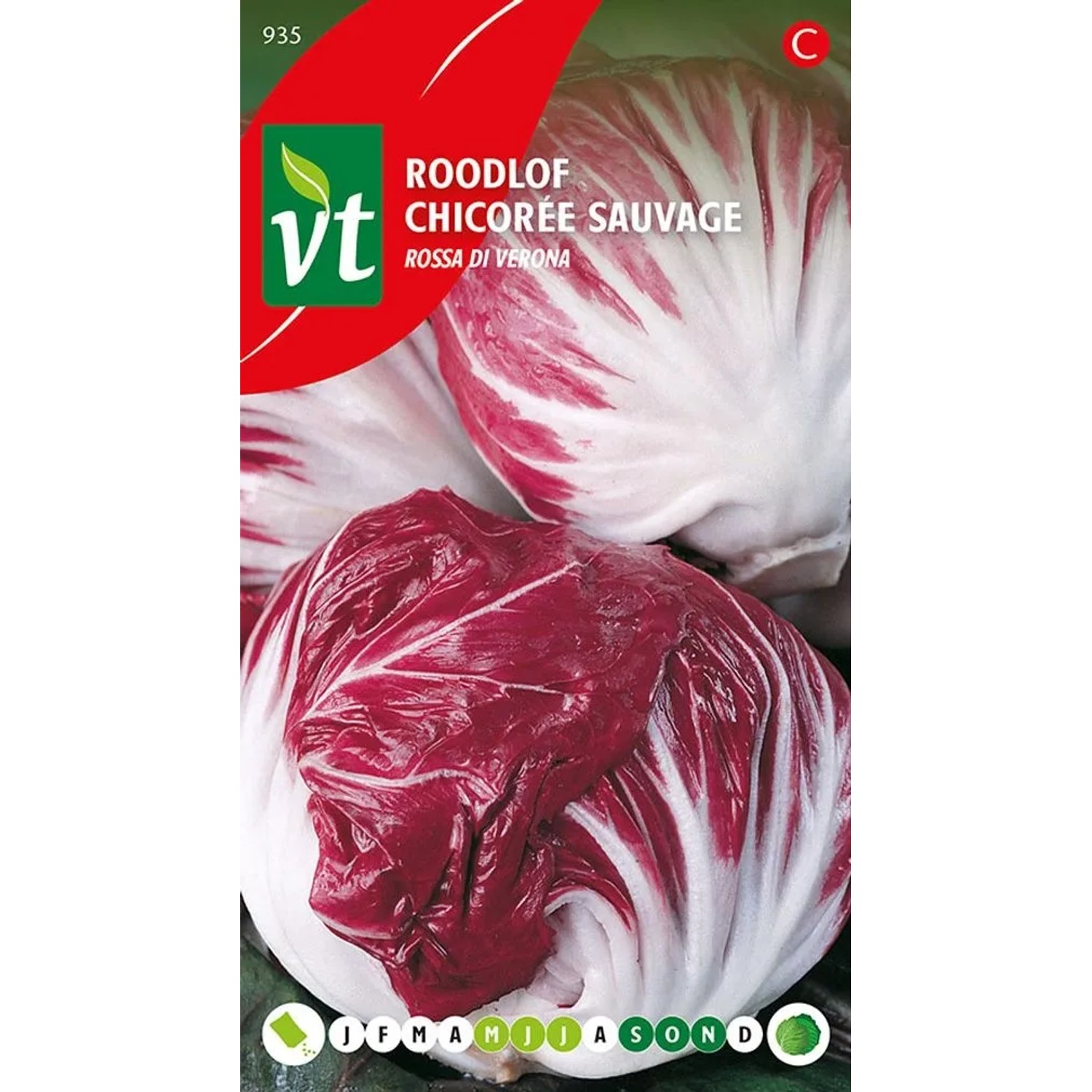 Rotkohl Rossa di Verona Samen Circa 1 grHat Einen Süßen Geschmack