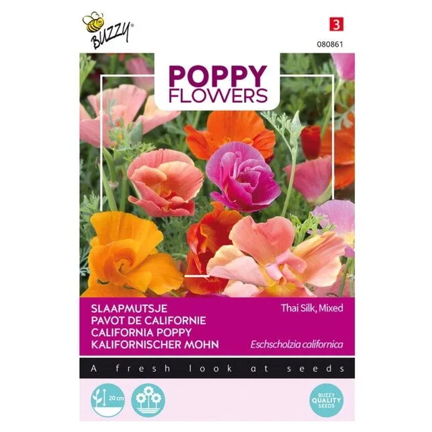Kalifornischer Mohn 'Thai Silk' Buzzy Poppy Flowers Samen Circa 0,1 g Einfach zu Kultivieren