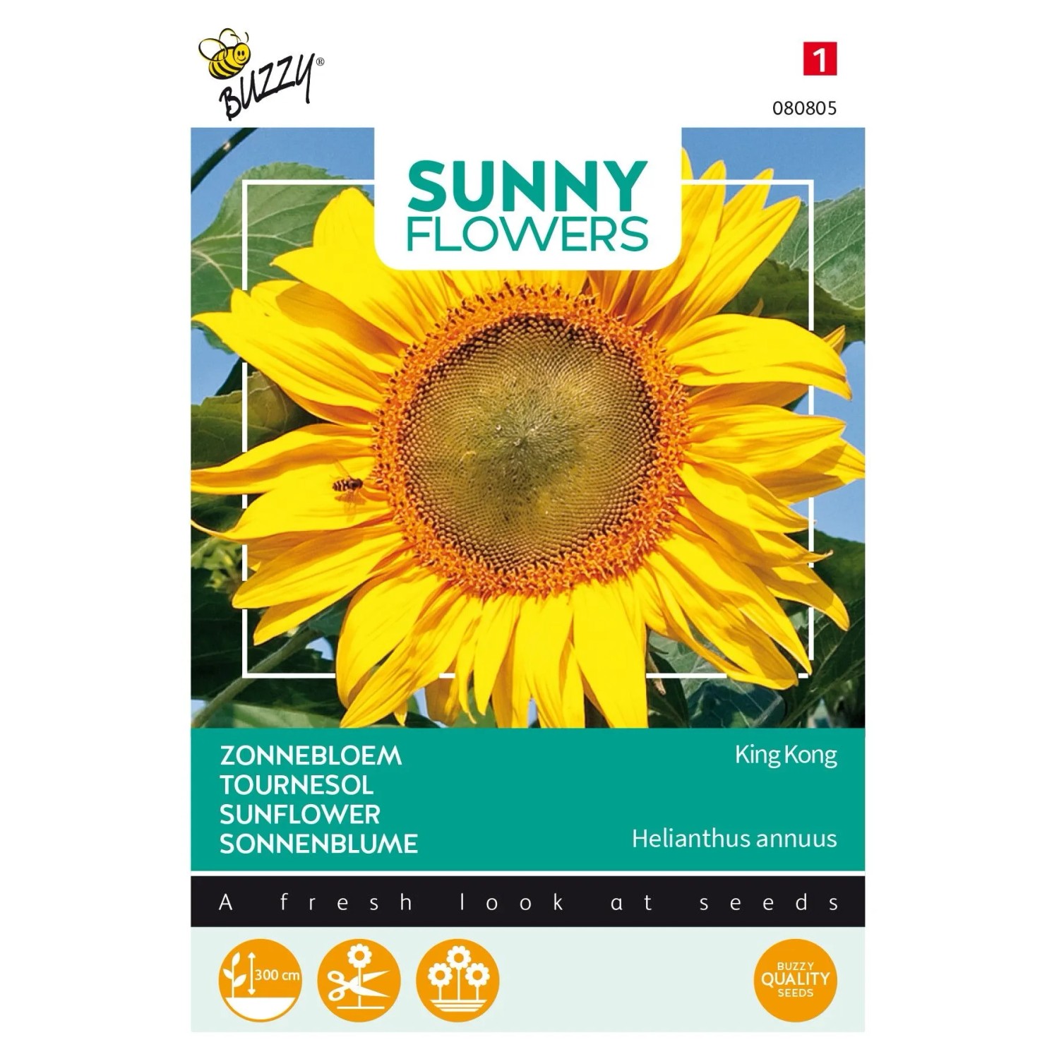 Sonnenblume 'King Kong' Buzzy Sunny Flowers Samen Circa 4 g Sehr Groß Wachsend