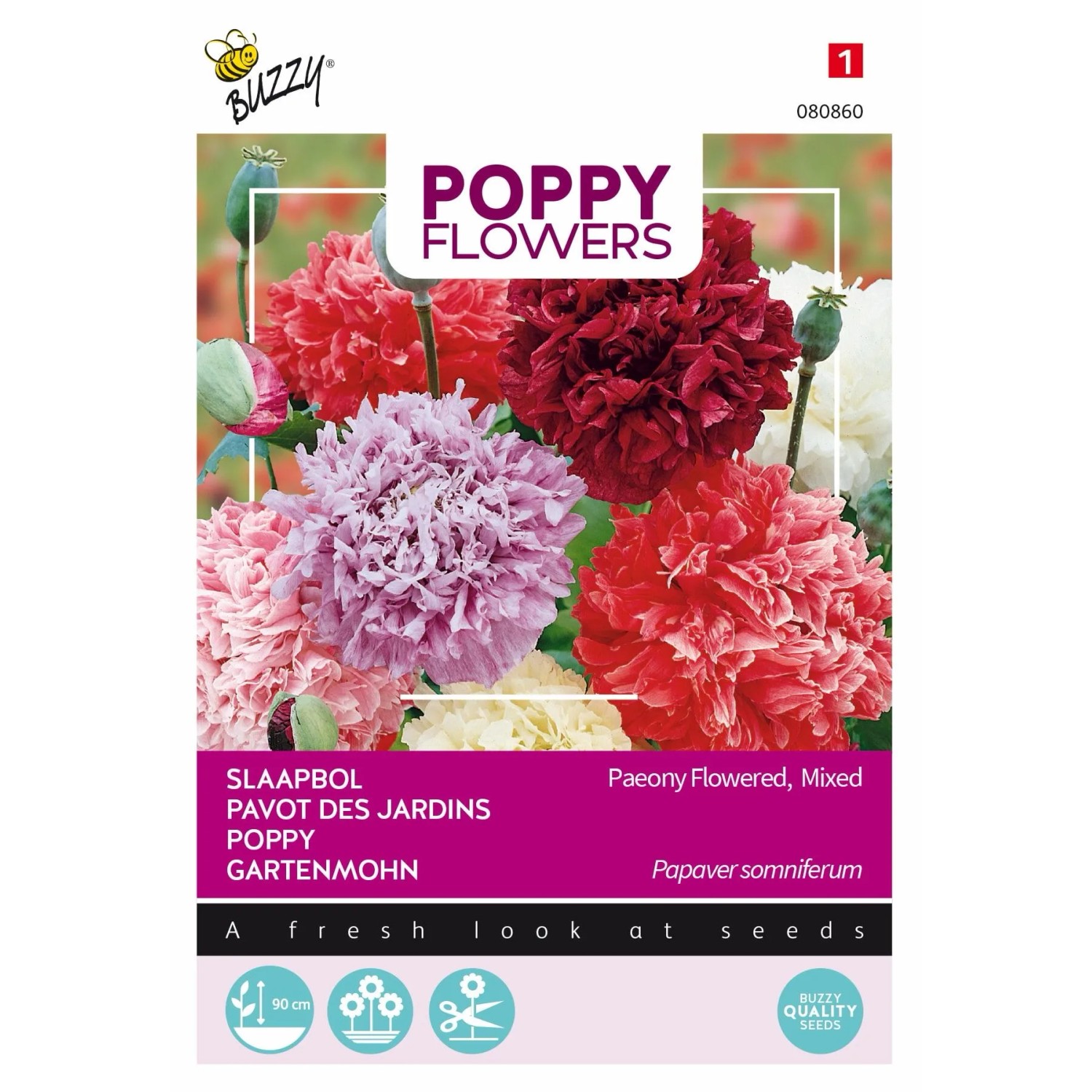 Mohn 'Paeoniflorum Gefüllte Mischung' Buzzy Poppy Flowers Circa 1 g Für Schnitt im Knospenstadium