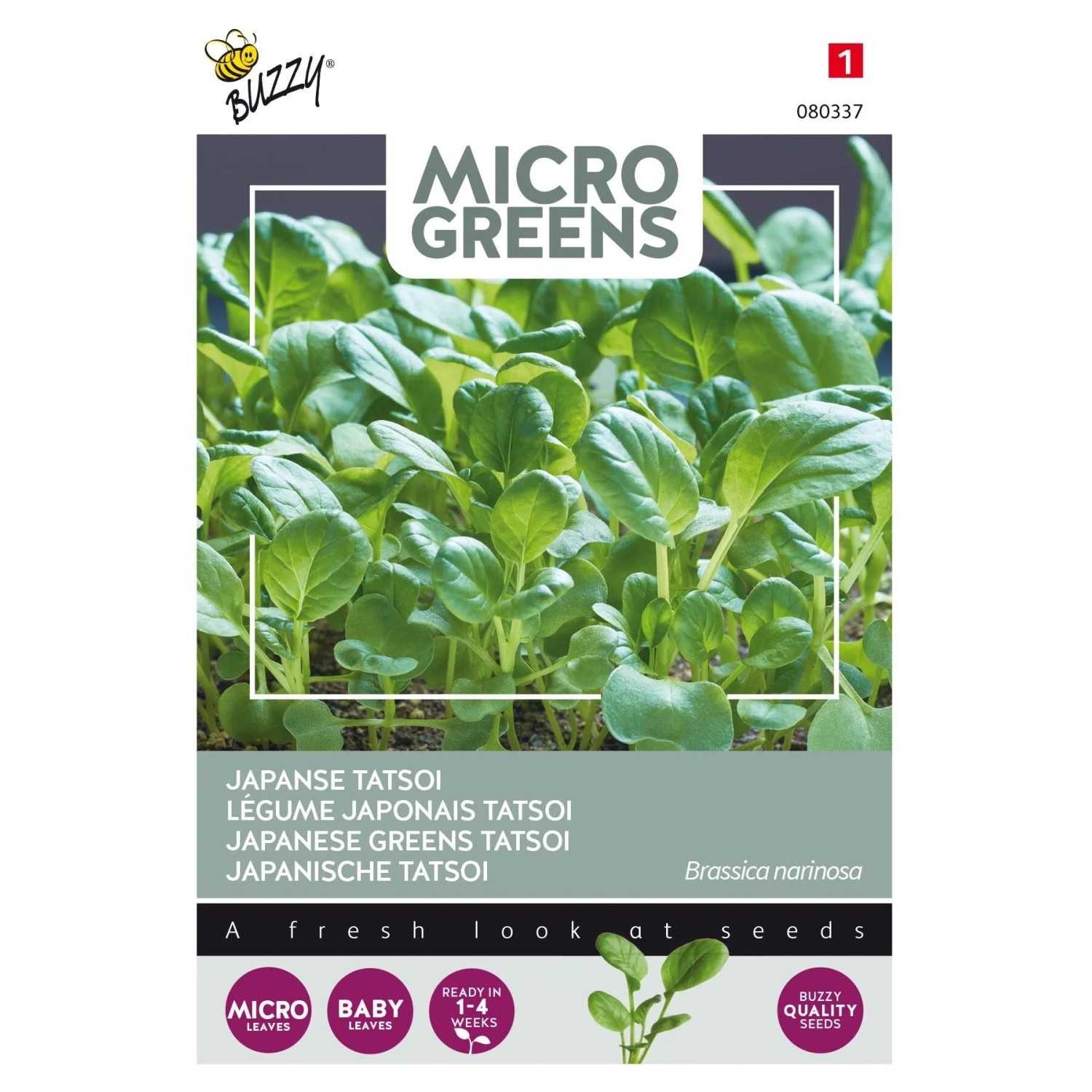 Buzzy Microgreens Japanischer Tatsoi Samen Circa 1 grEinfach Anzubauendes Microgreens