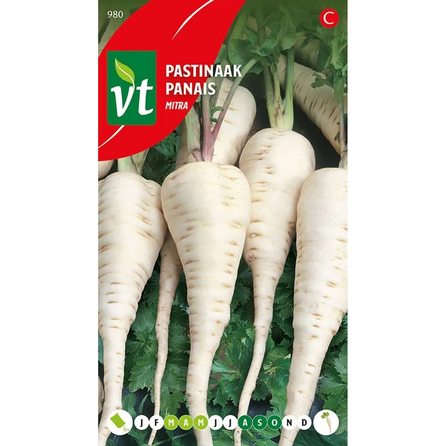 Pastinake Mitra Samen Circa 2 grGroße Wurzeln mit Süßem und Nussigem