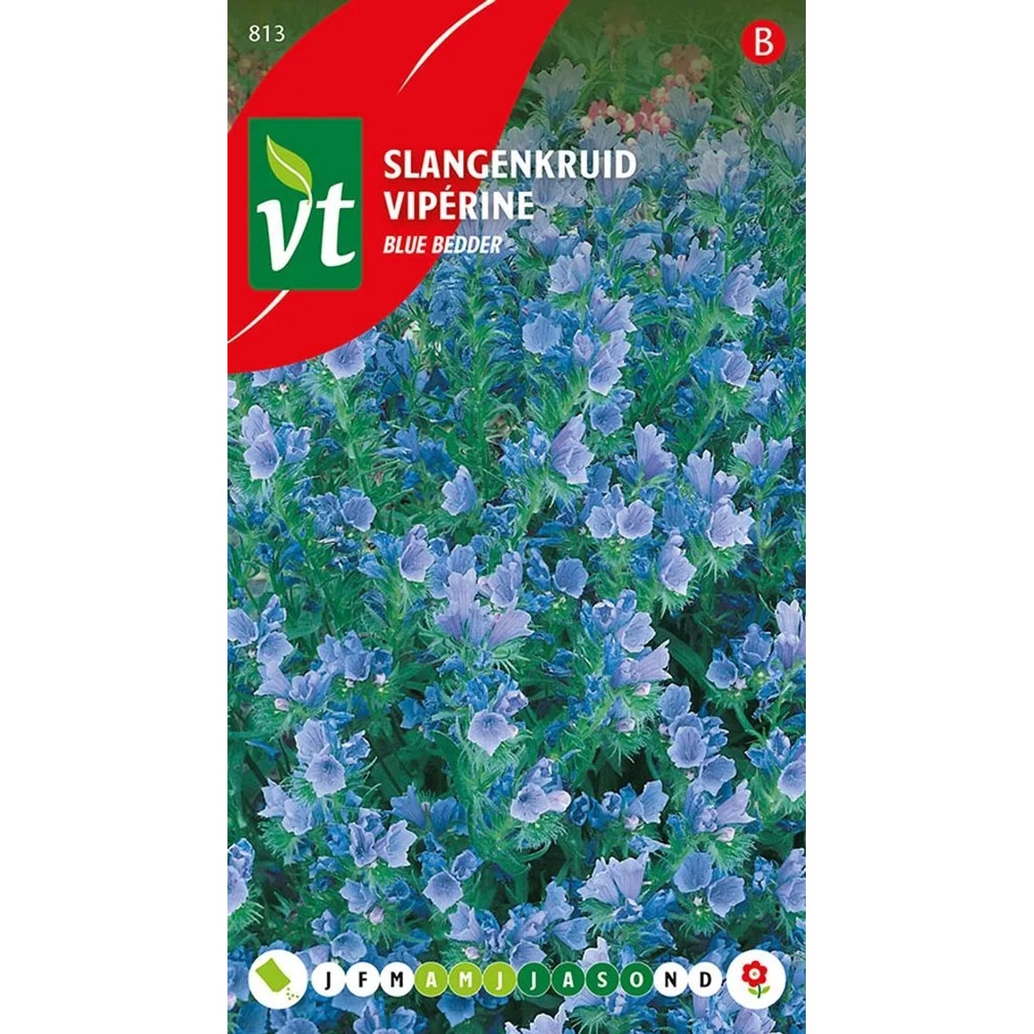 Natternkopf 'Blue Bedder' Samen Circa 1 g Bienen- und