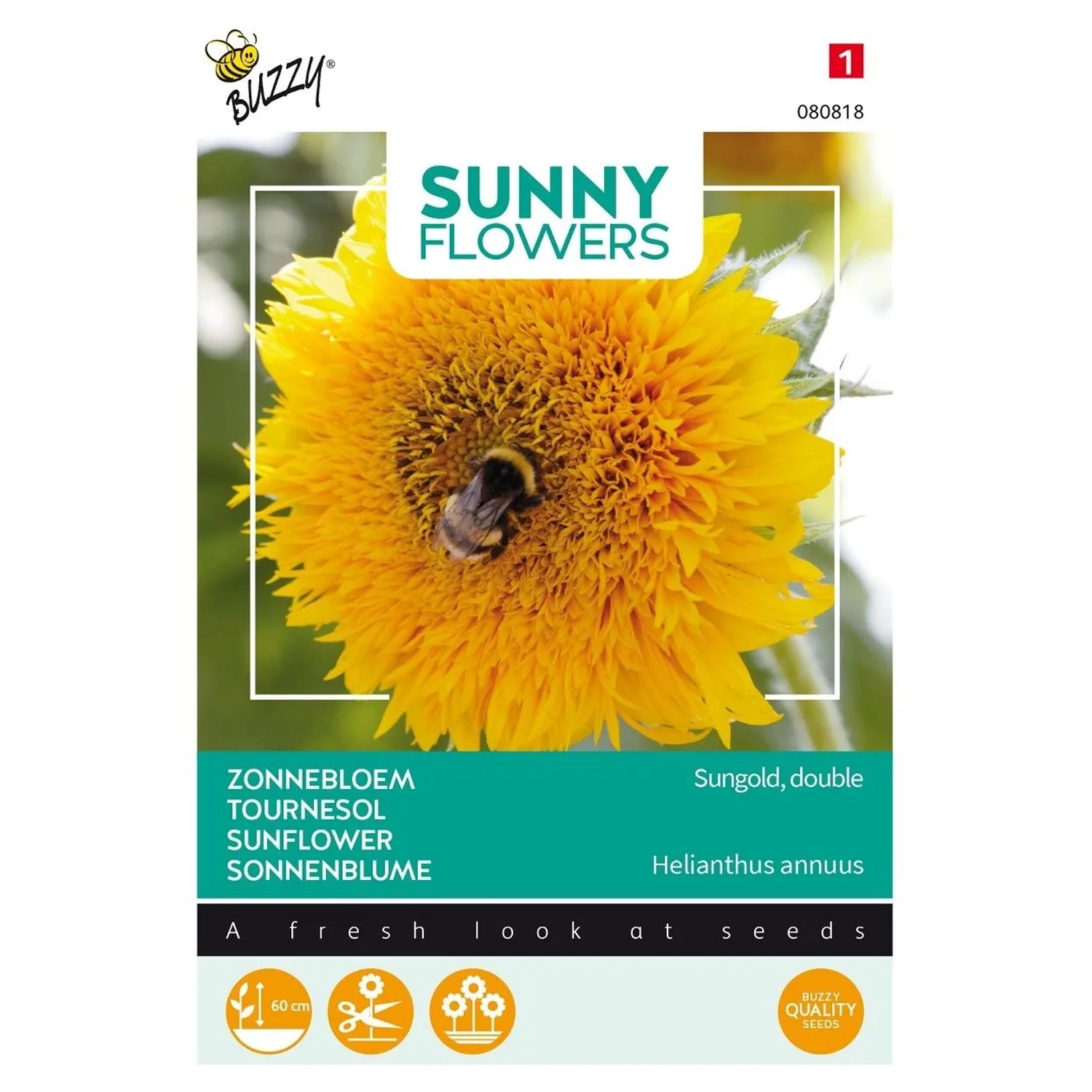 Zwerg-Sonnenblume 'Sungold Gefüllt' Buzzy Sunny Flowers Samen Circa 2,5 g Gefüllte Blüten