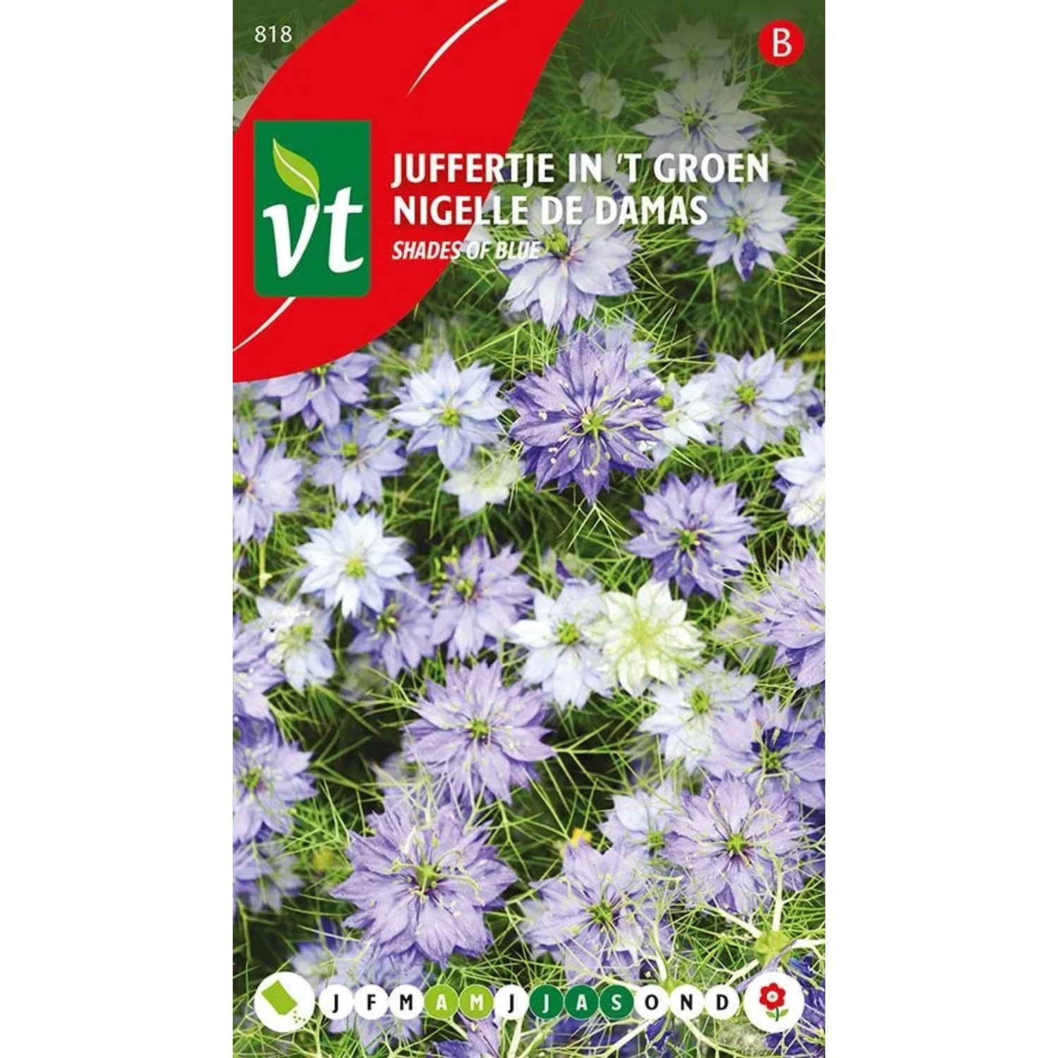 Jungfer im Grünen Blau Mix Samen Circa 1 g Blaue Blüten