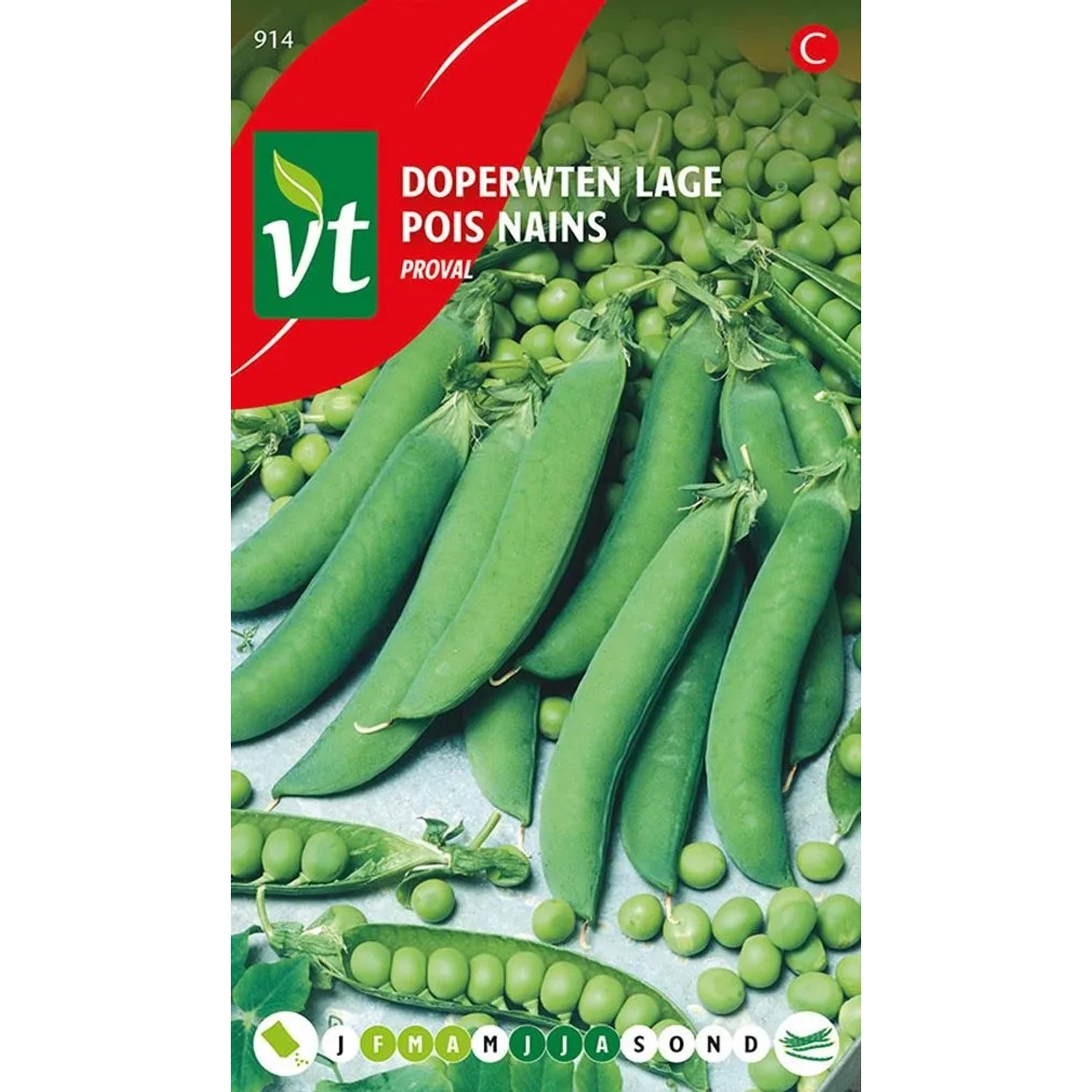 Platterbse 'Proval' Saatgut Circa 50 g Schnell Wachsend