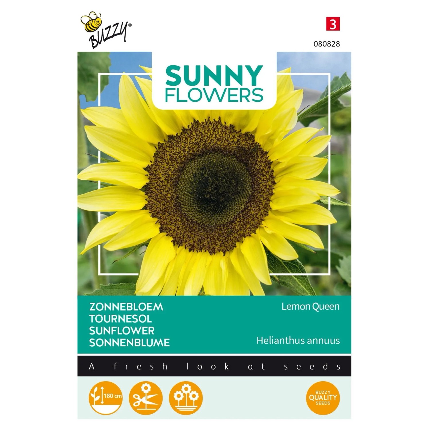 Sonnenblume 'Lemon Queen' Buzzy Sunny Flowers Samen Circa 1 g Leicht Anzubauen