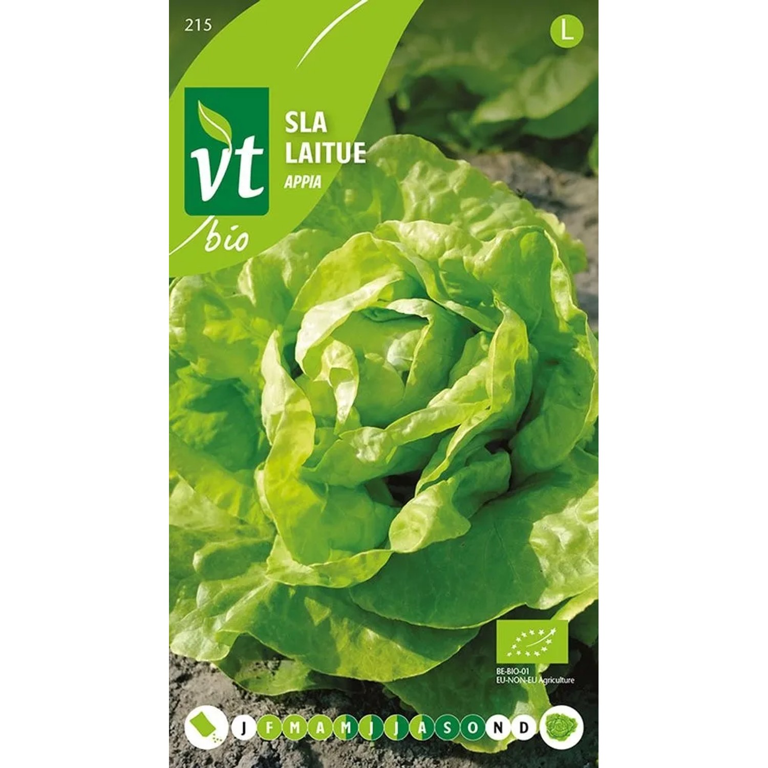 Kopfsalat 'Appia' Bio Samen Circa 1 g Schmackhafte Blätter