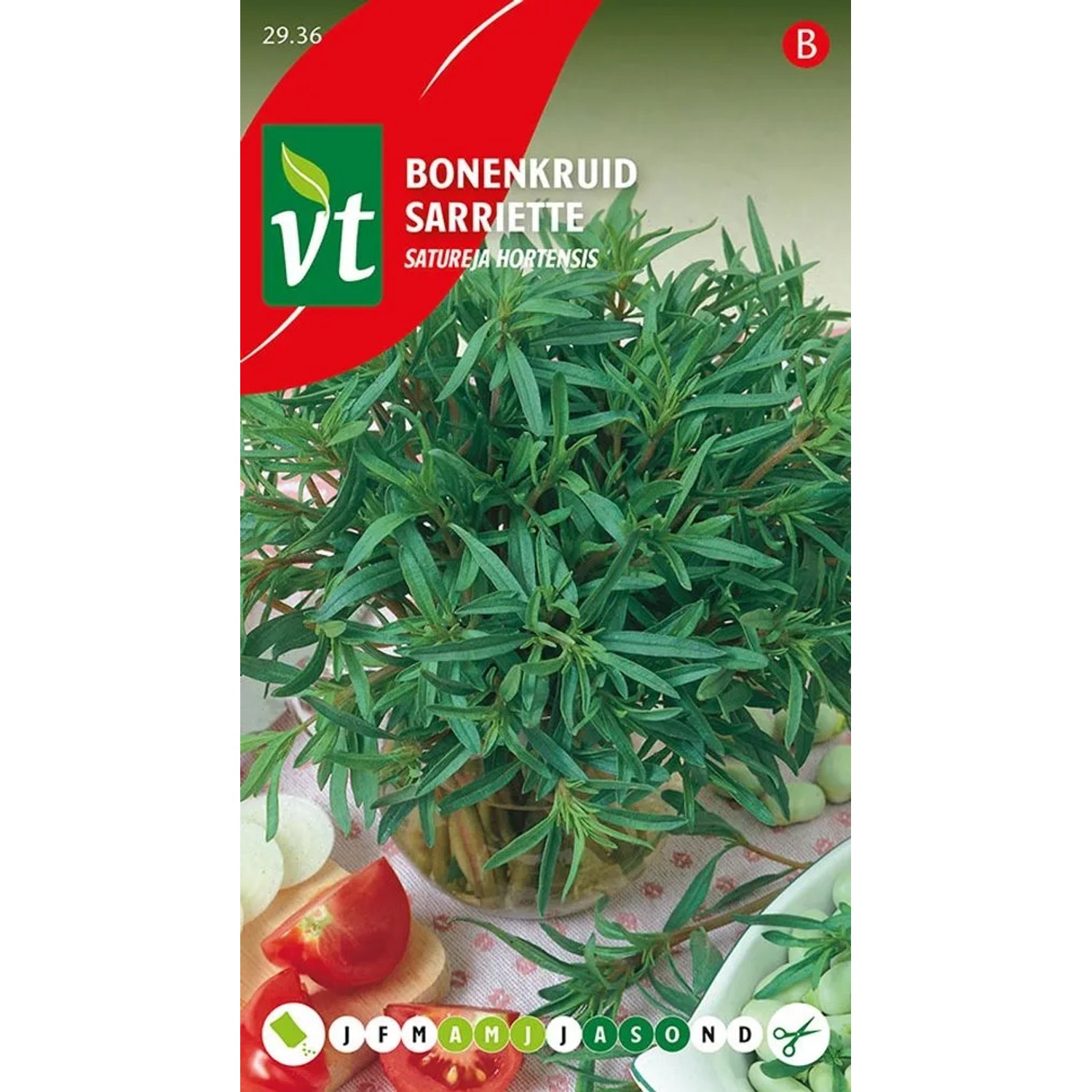 Borretsch Saatgut Circa 1 g Aromatisch