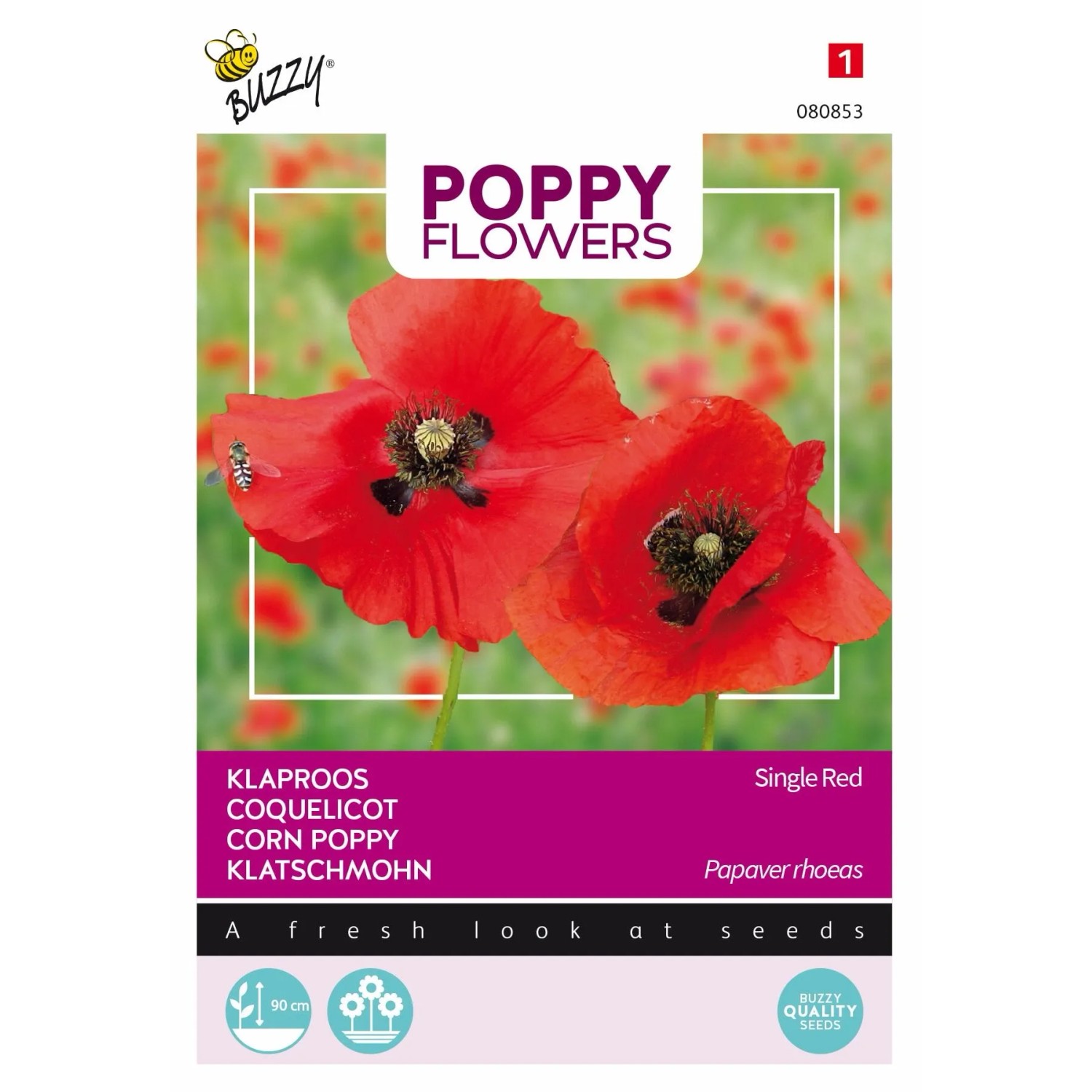 Klatschmohn rot Buzzy Poppy Flowers Samen Circa 1 g Scharlachrote Blüten